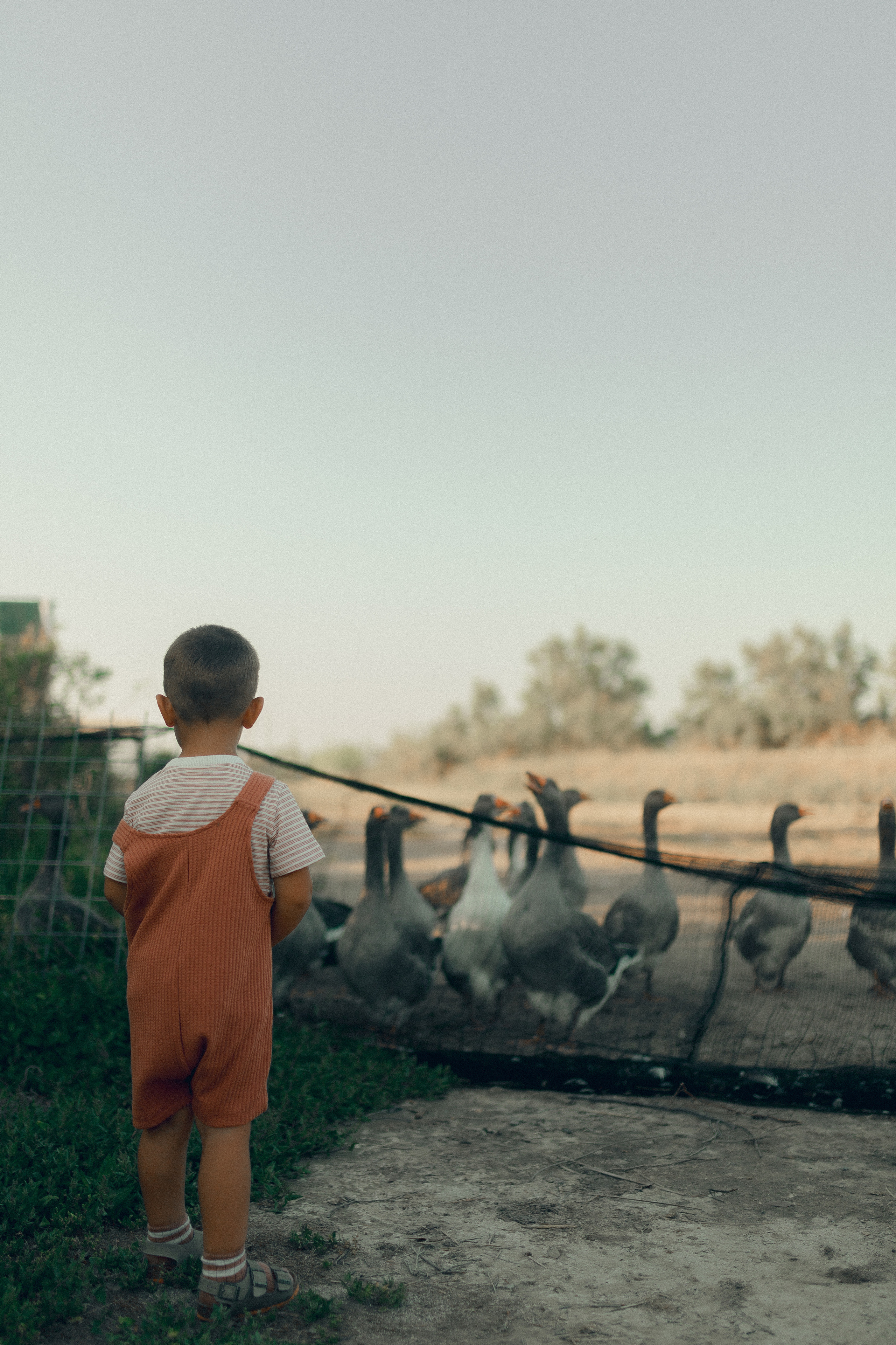 Lio Piccolo. Fotografo a Venezia