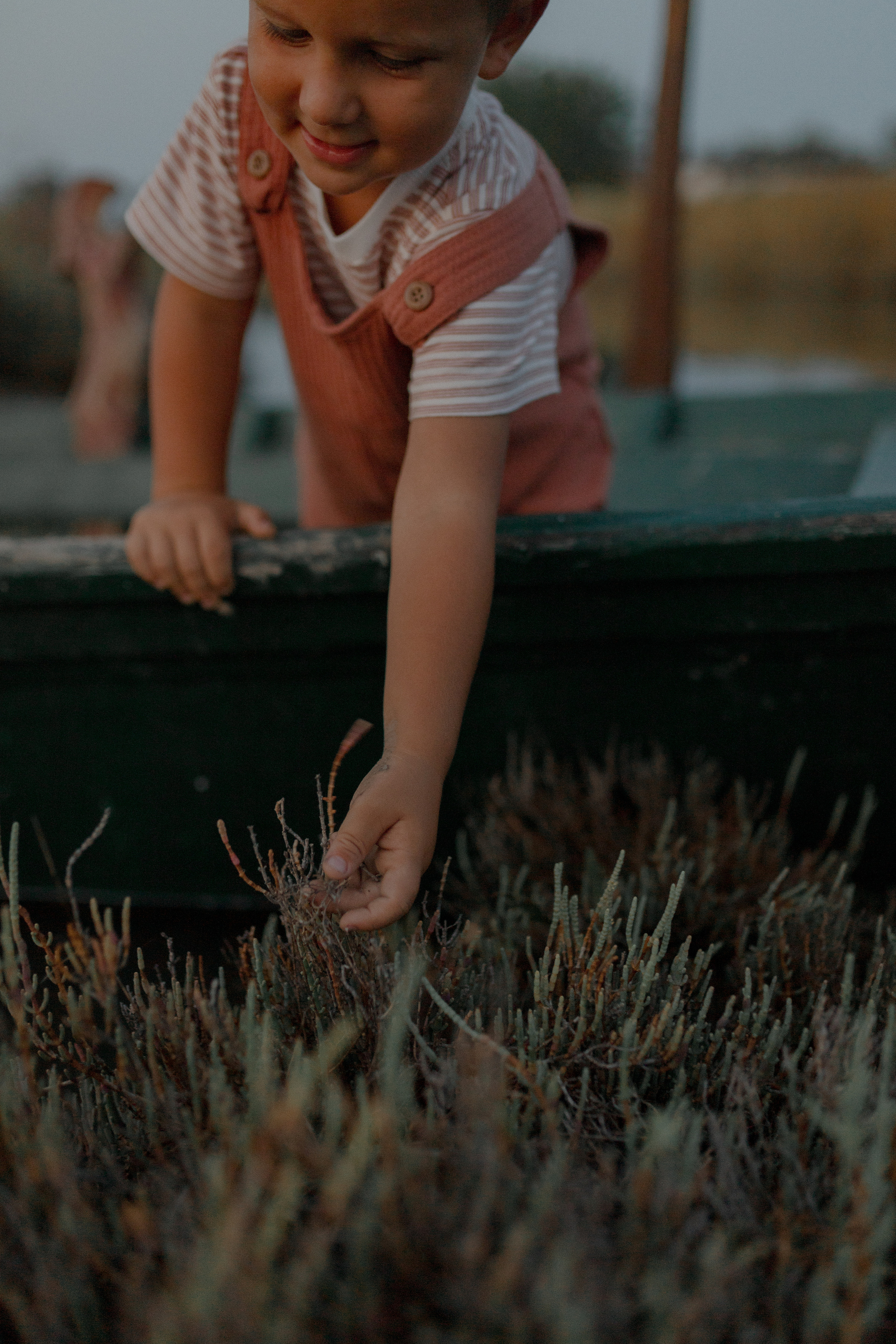 Lio Piccolo. Fotografo a Venezia