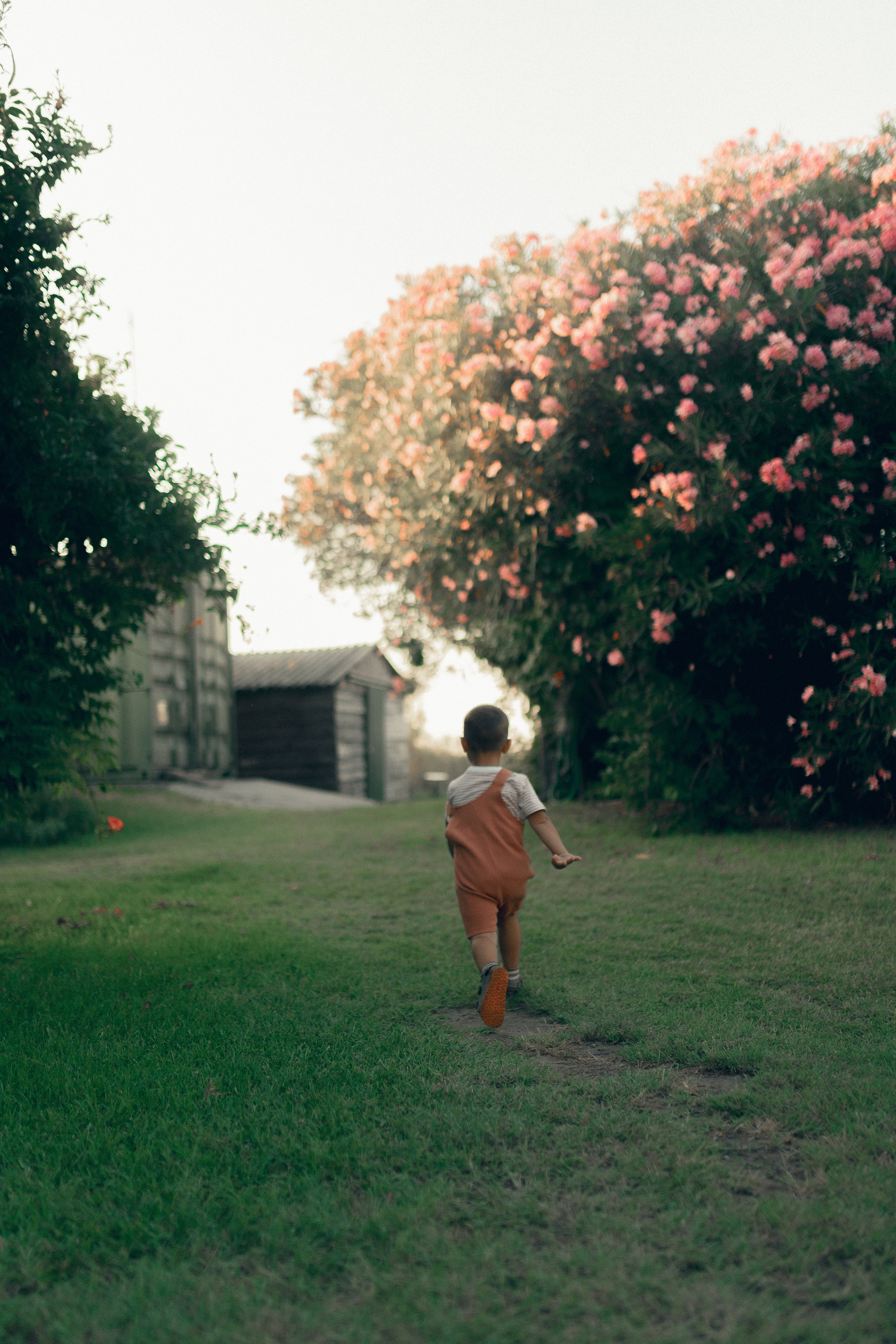 Lio Piccolo. Fotografo a Venezia