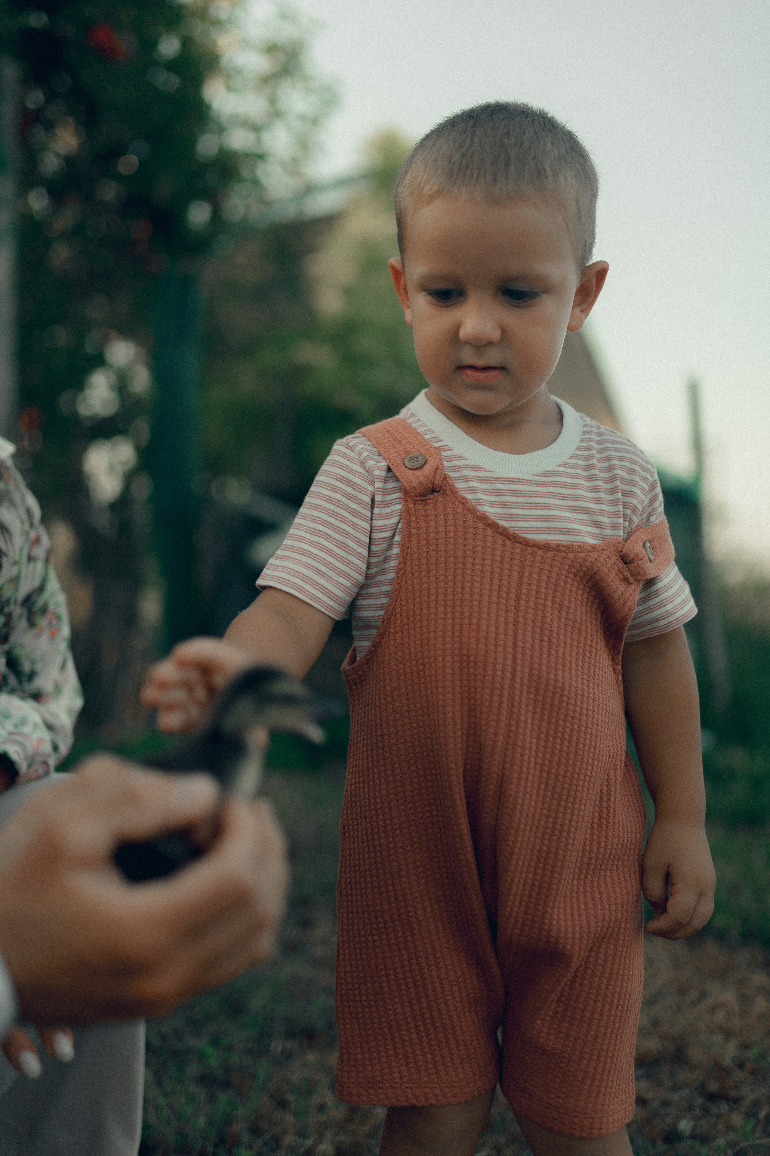 Lio Piccolo. Fotografo a Venezia