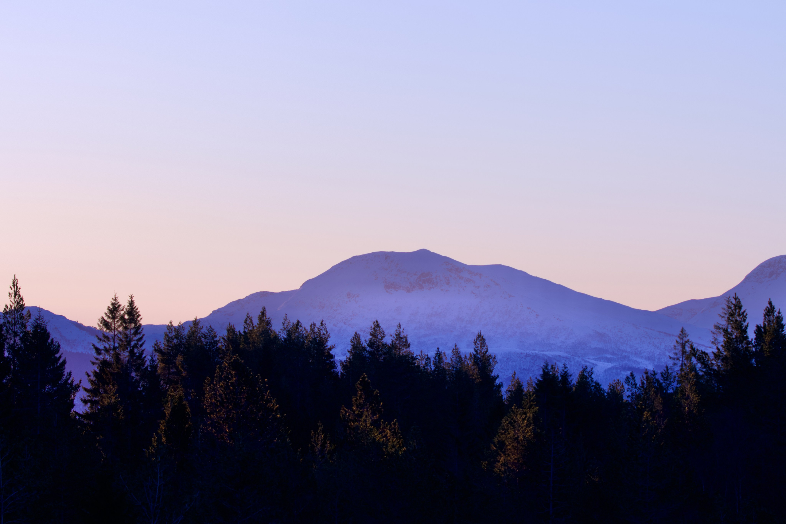 Prints by D.Todosyev