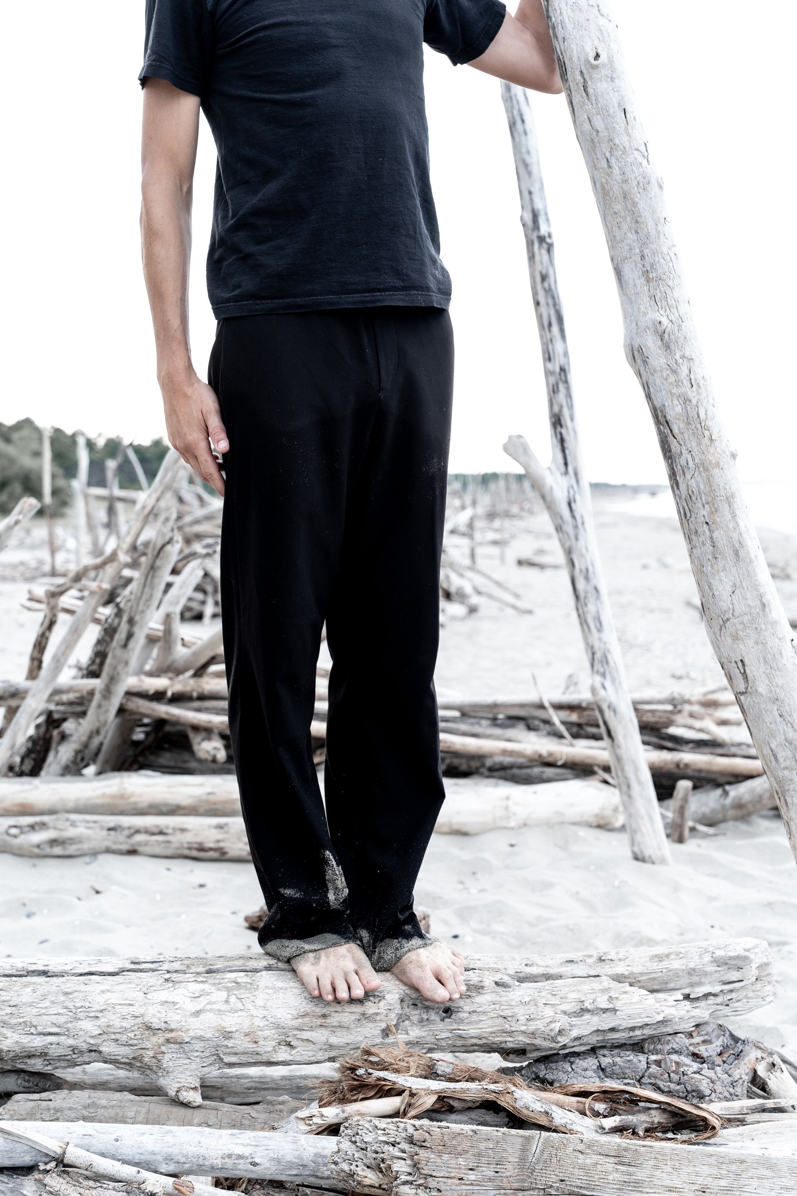 Blastema. Fotografia e video