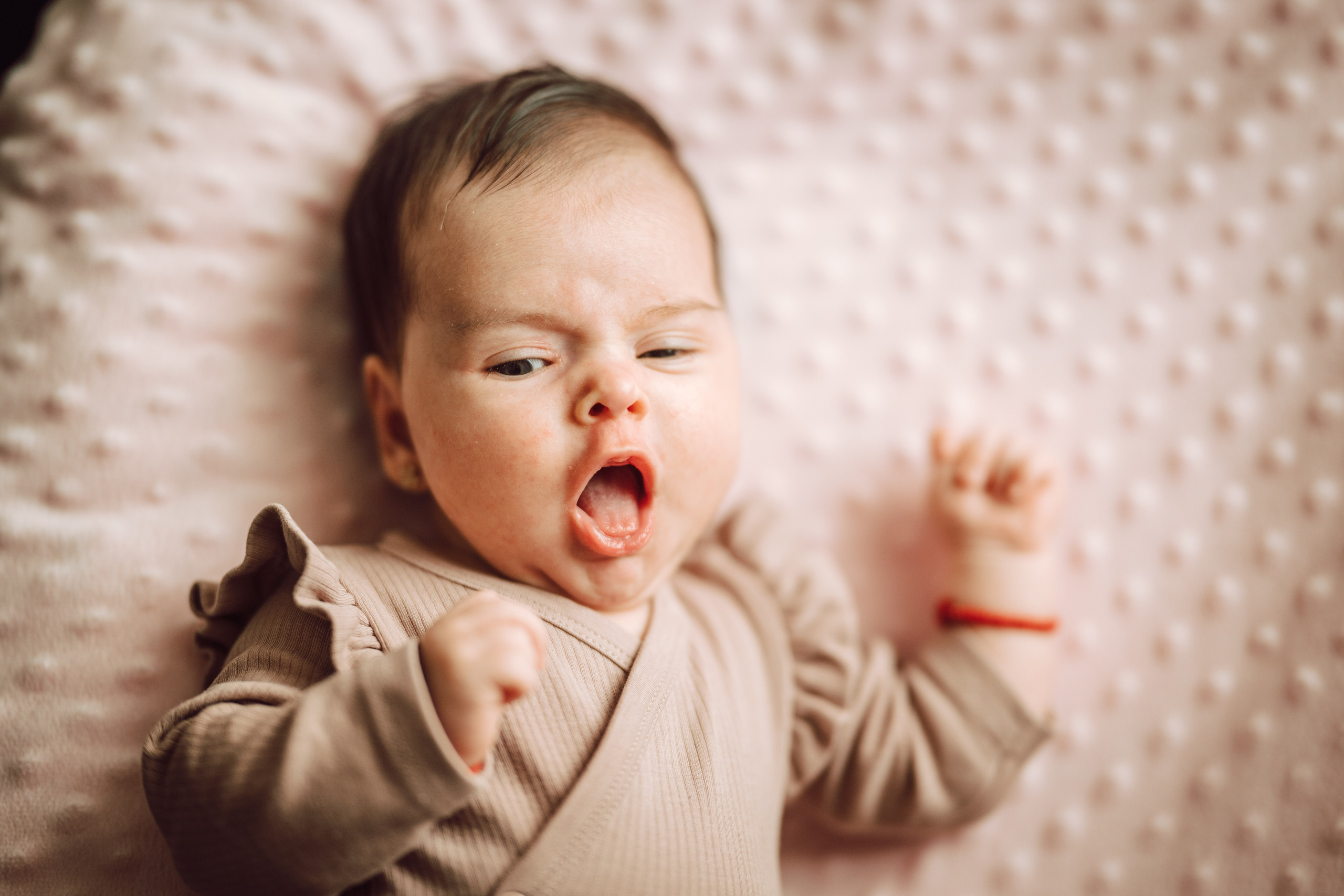 Carolina Ilinca. The Catalins Events — Wedding Photography & Videography