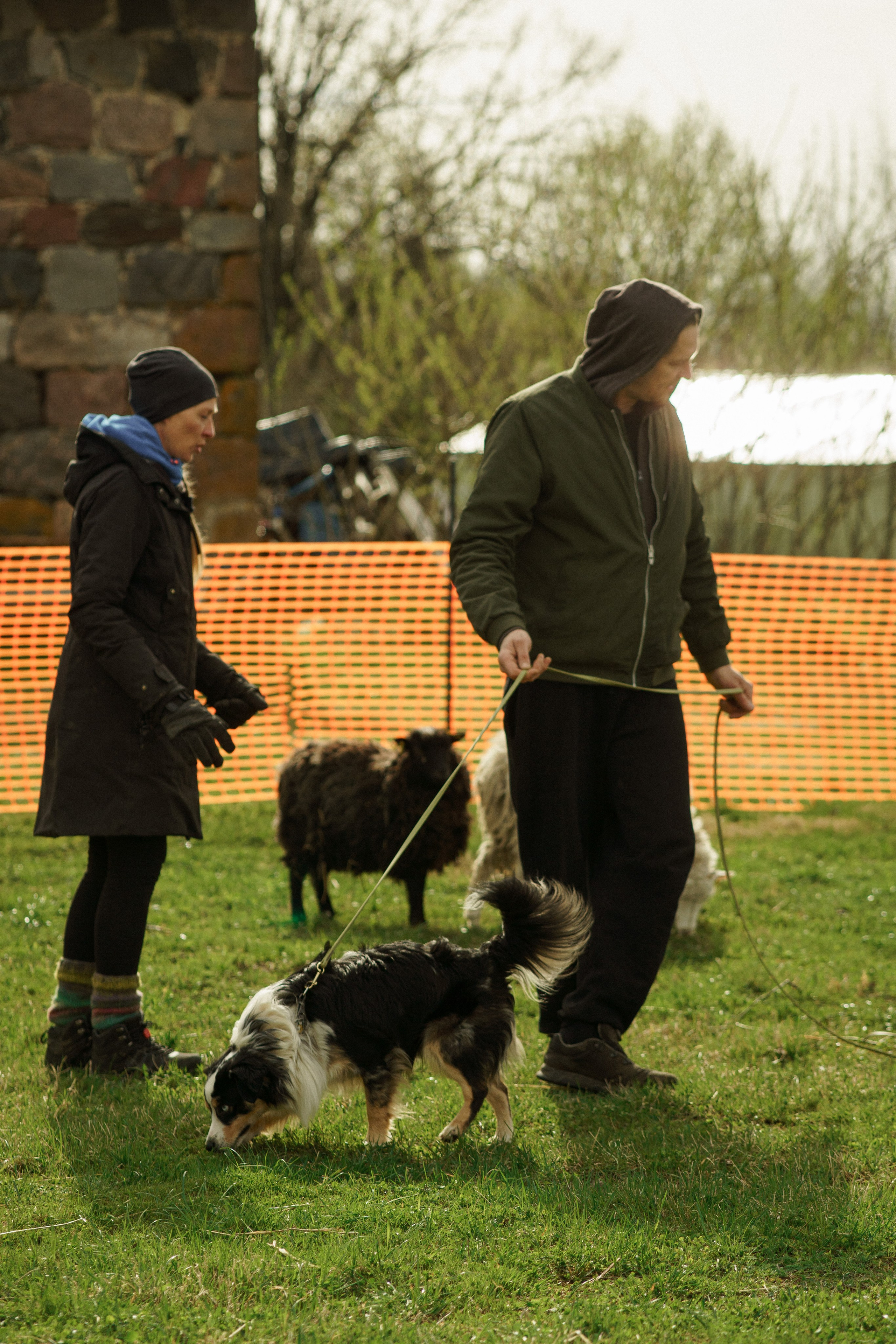 Herding Days, 26 apr. 2025. Kat Laisaar — Pet photographer in Tallinn
