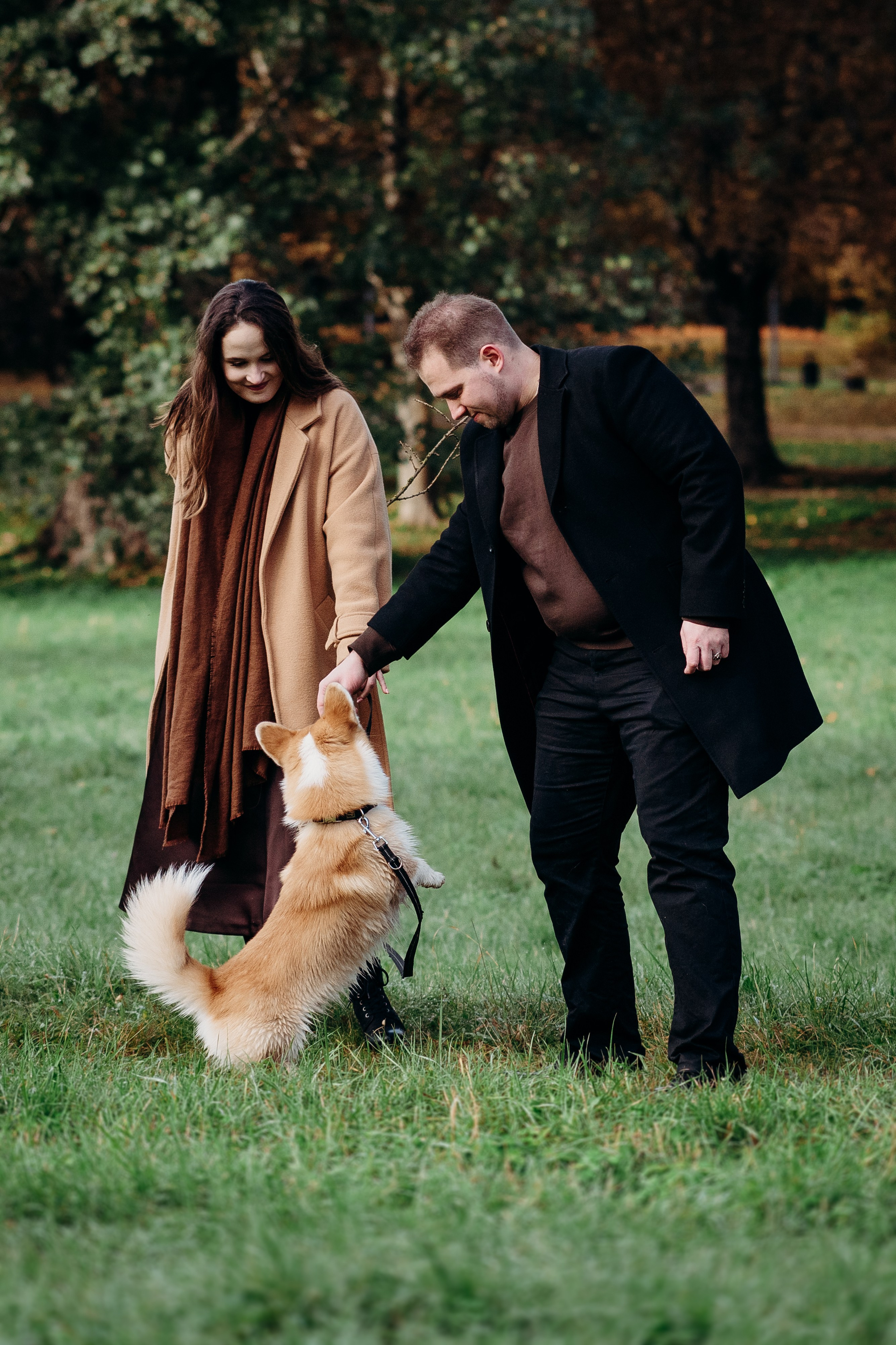 Liisa, Alexander & Marsel. Фотограф-анималист в Таллинне, Катя Лайсаар