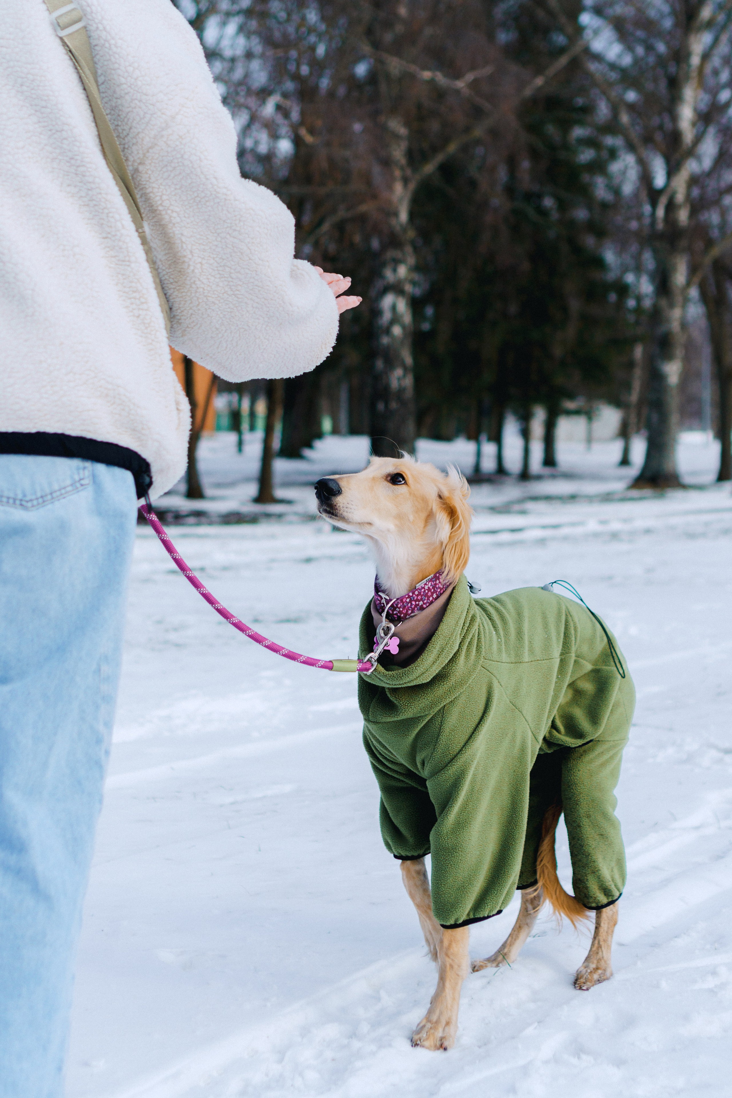 Nicole & Sky. Kat Laisaar — Pet photographer in Tallinn