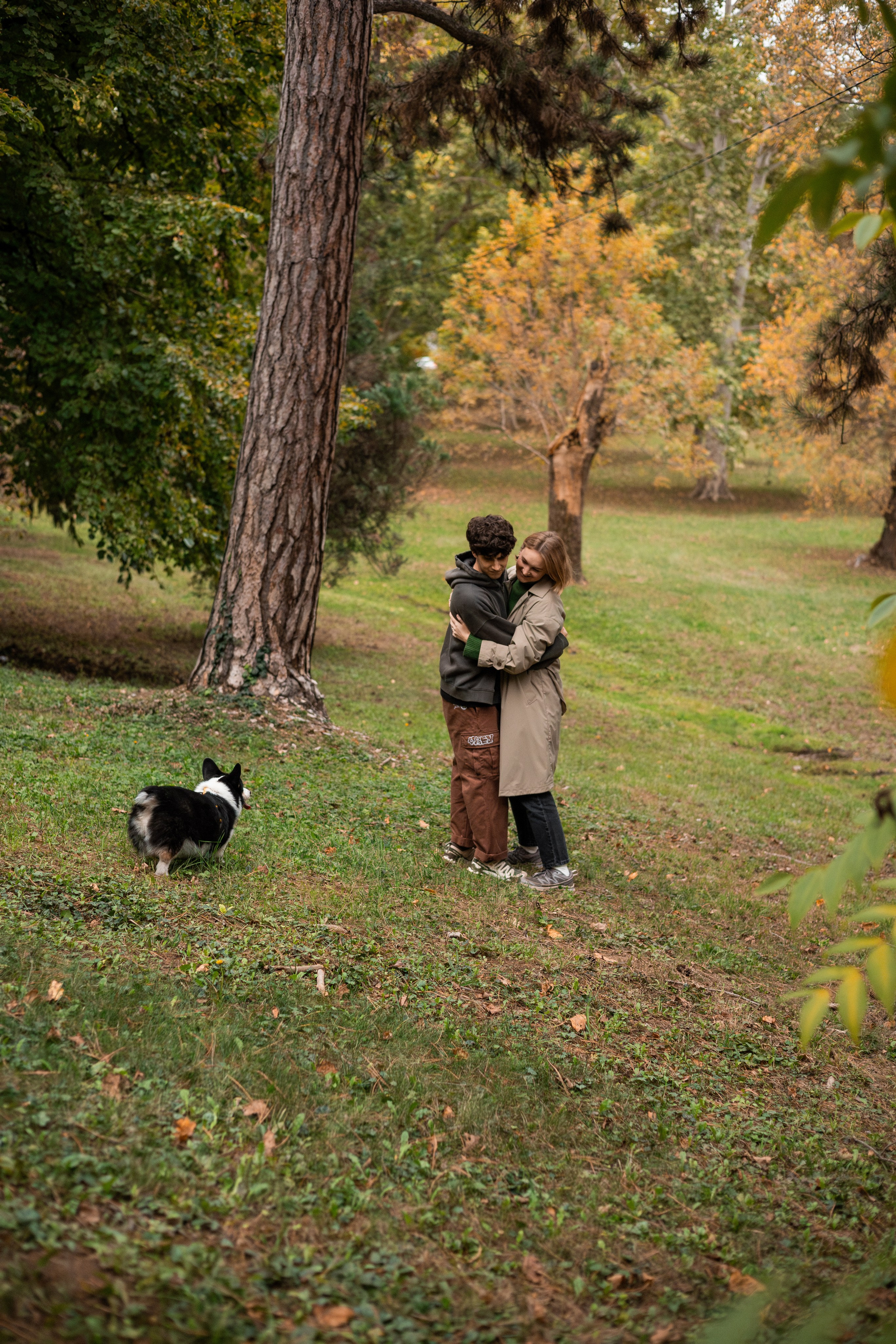 Даня, Аня и Плюша. Фотограф-анималист | Белград