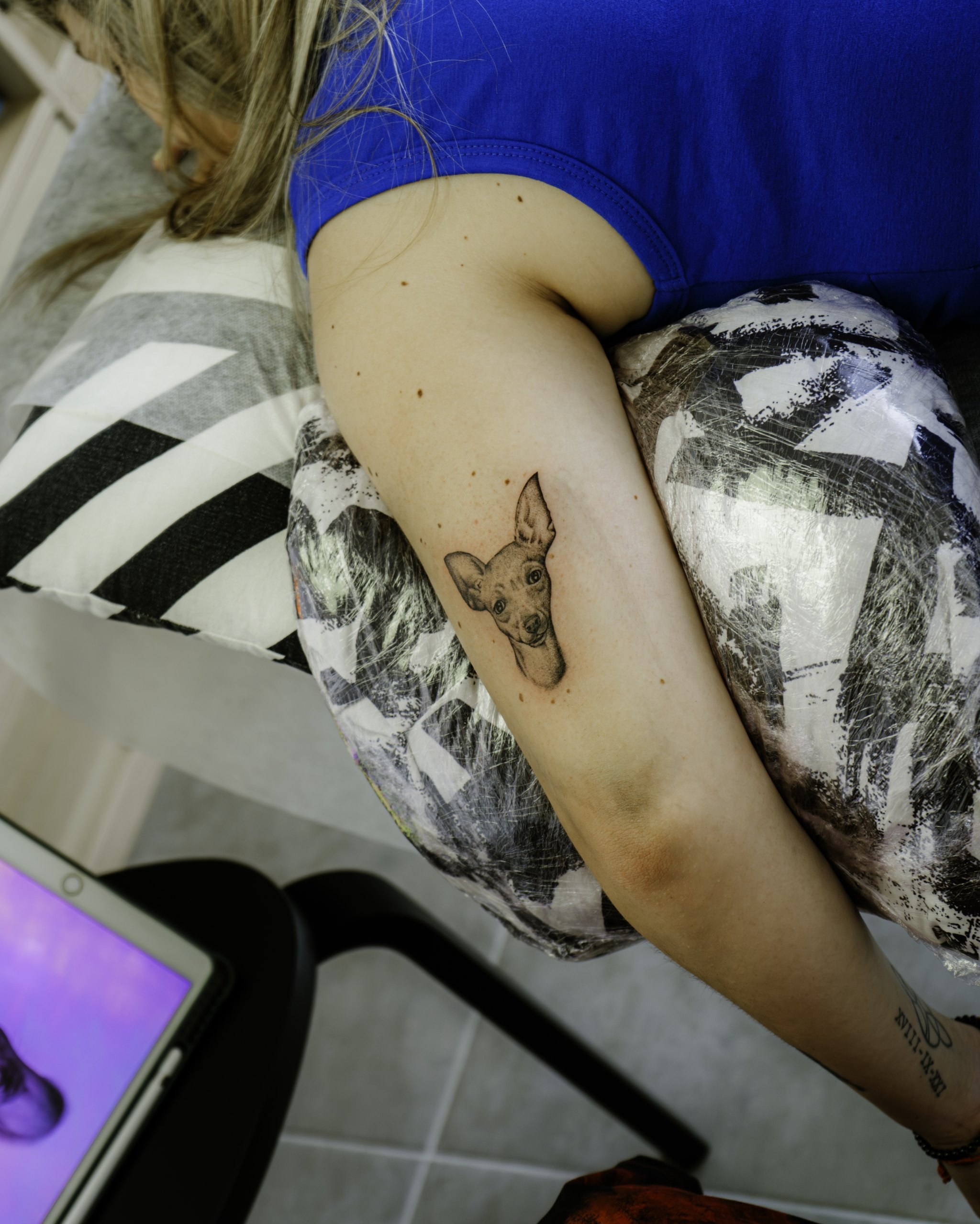 Alexandra Natura — Tatuagem 2024. Júnio MediaLab