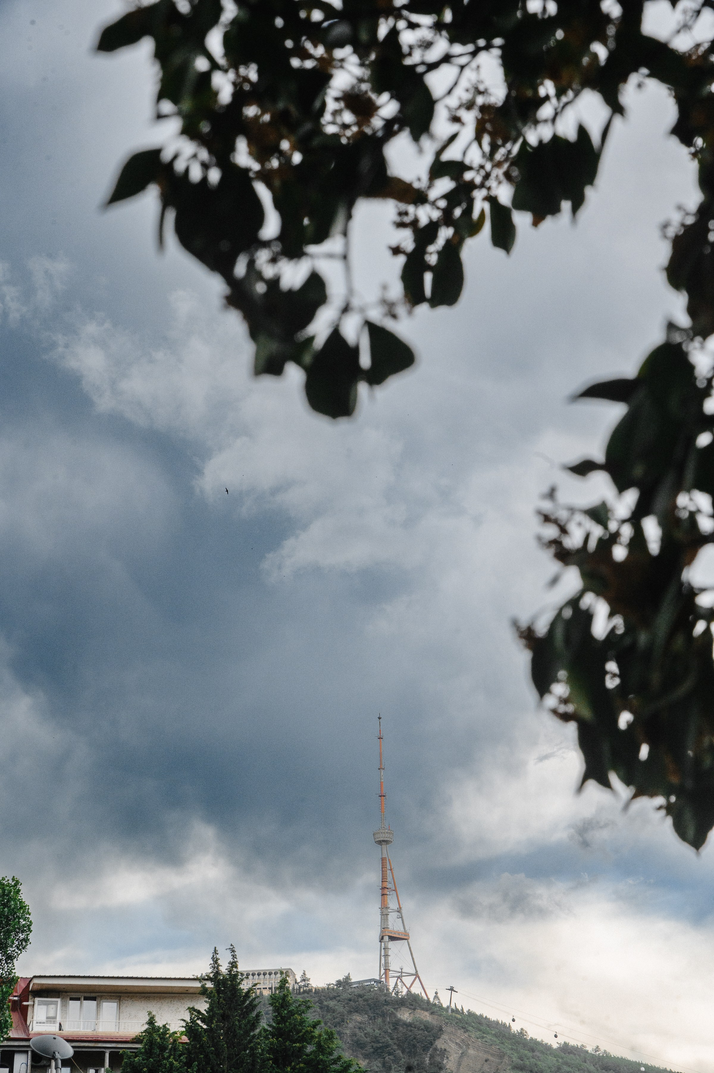 Veronika & Alexander. Portrait and reportage photographer