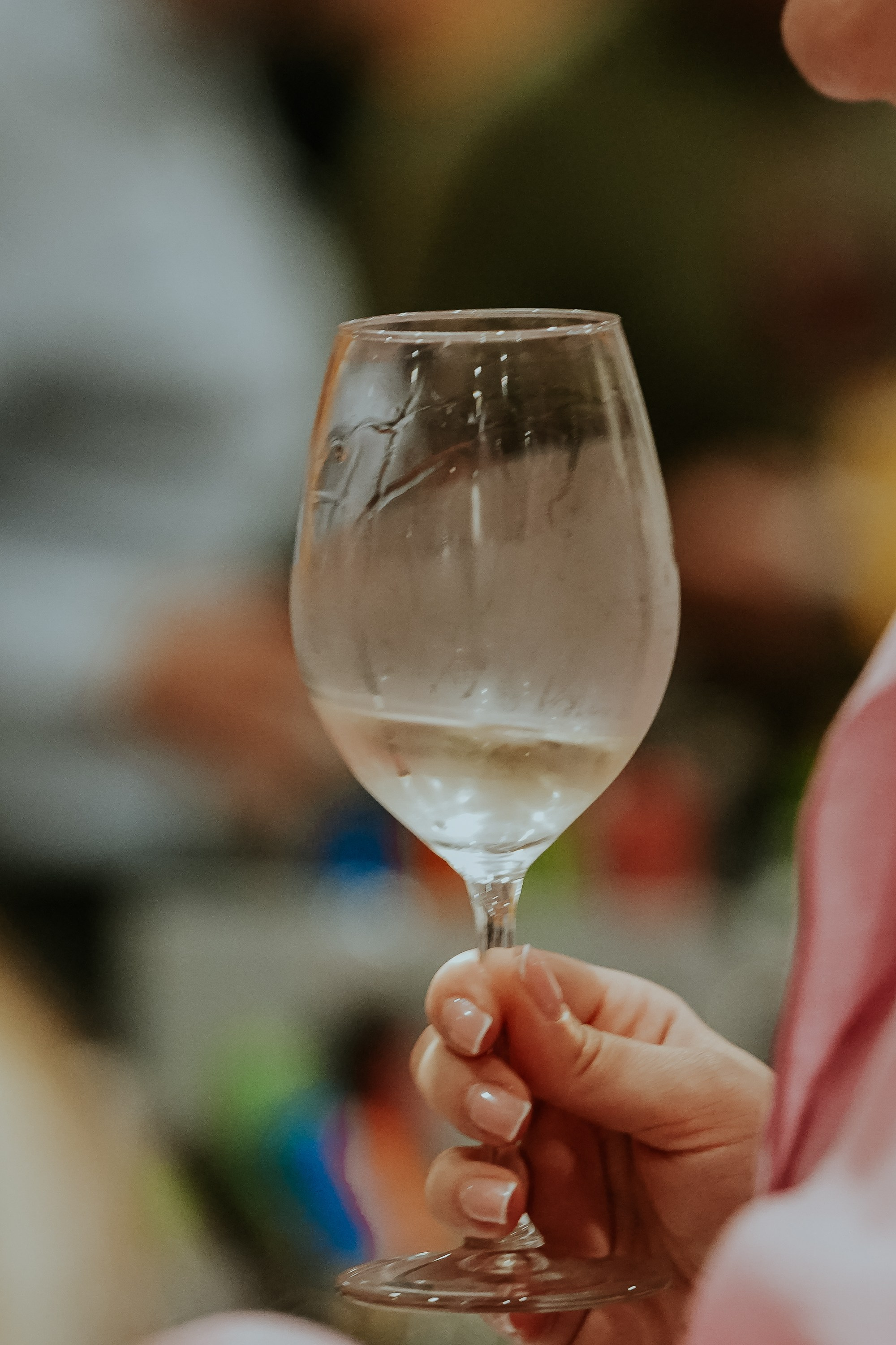 Hai cu Pluta — Wine Event. MARINABUGS