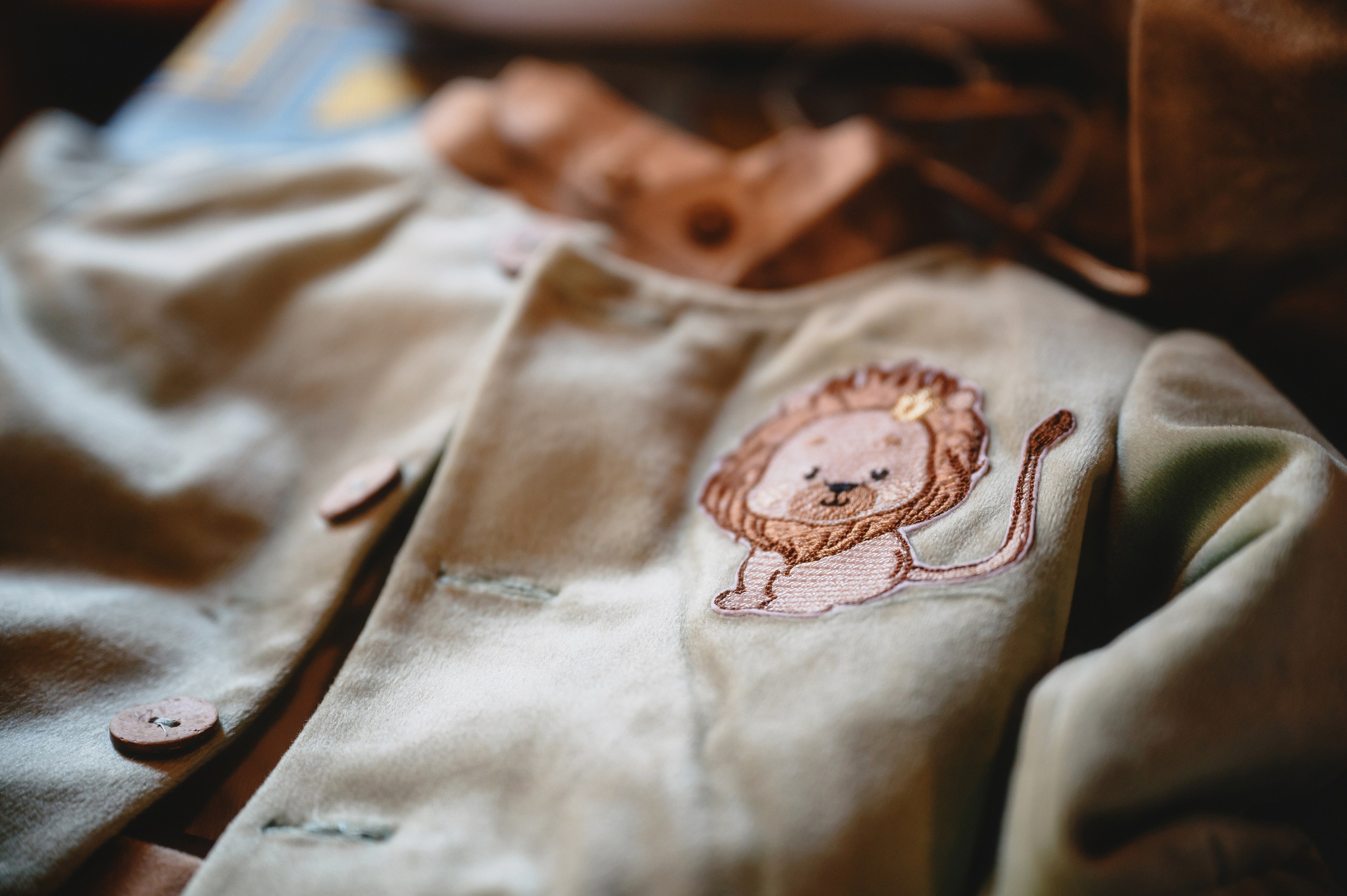 Povestea lui Vladimir. Laurentiu Stefan StoryTeller