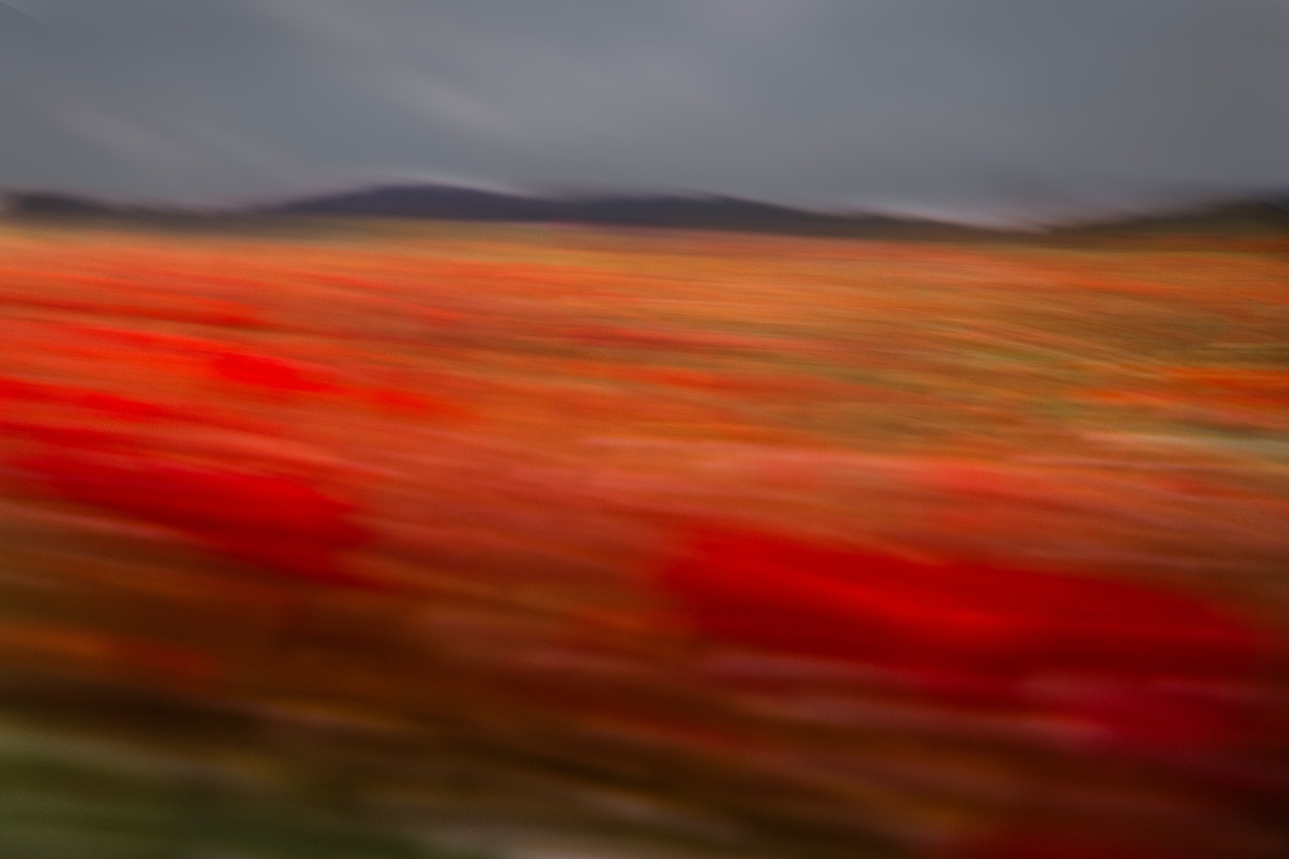 Directora, Fotógrafa y Artista en Valencia Natasha Bogomolova
