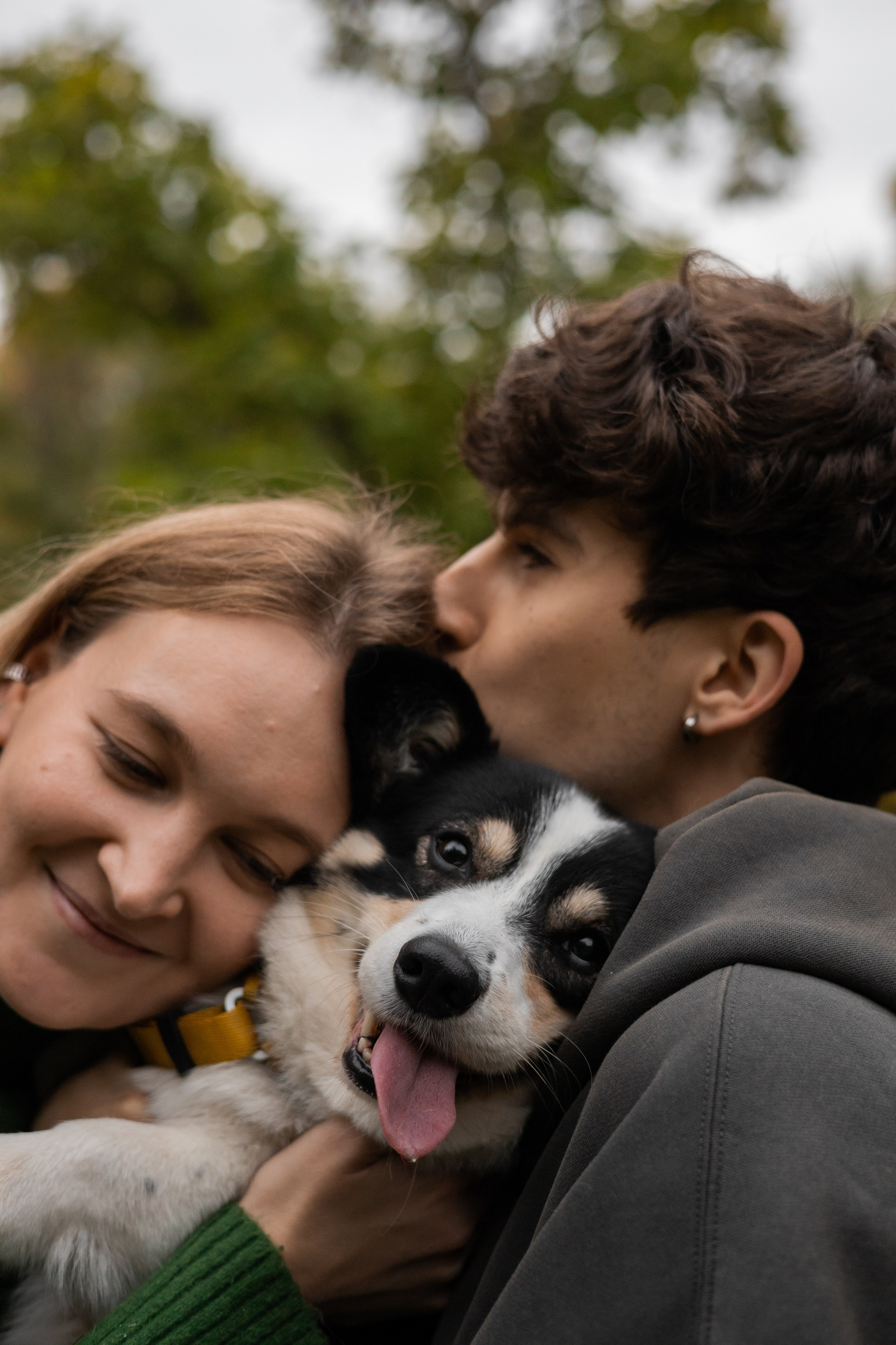 Даня, Аня и Плюша. Фотограф-анималист | Белград