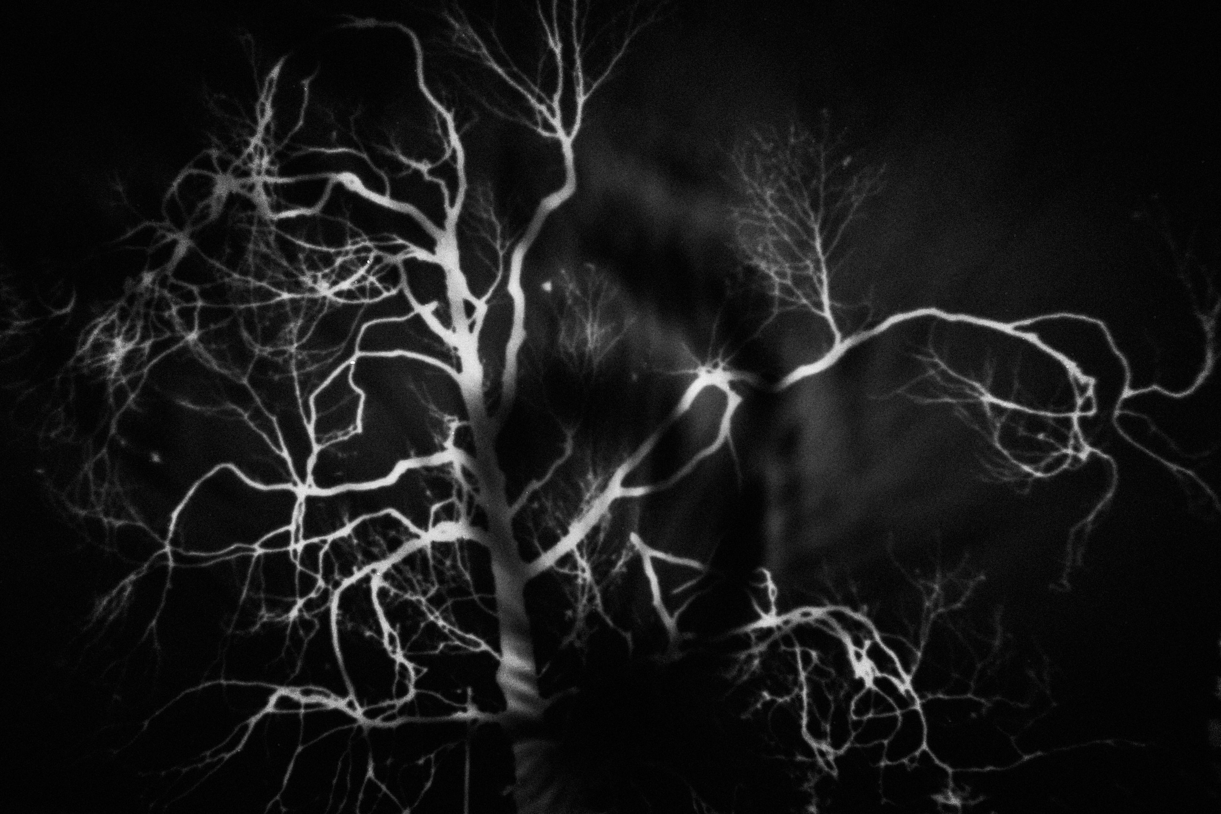 Entrance to the void-1. GLISH ART — Timofey Glinin & Anastasia Shubina