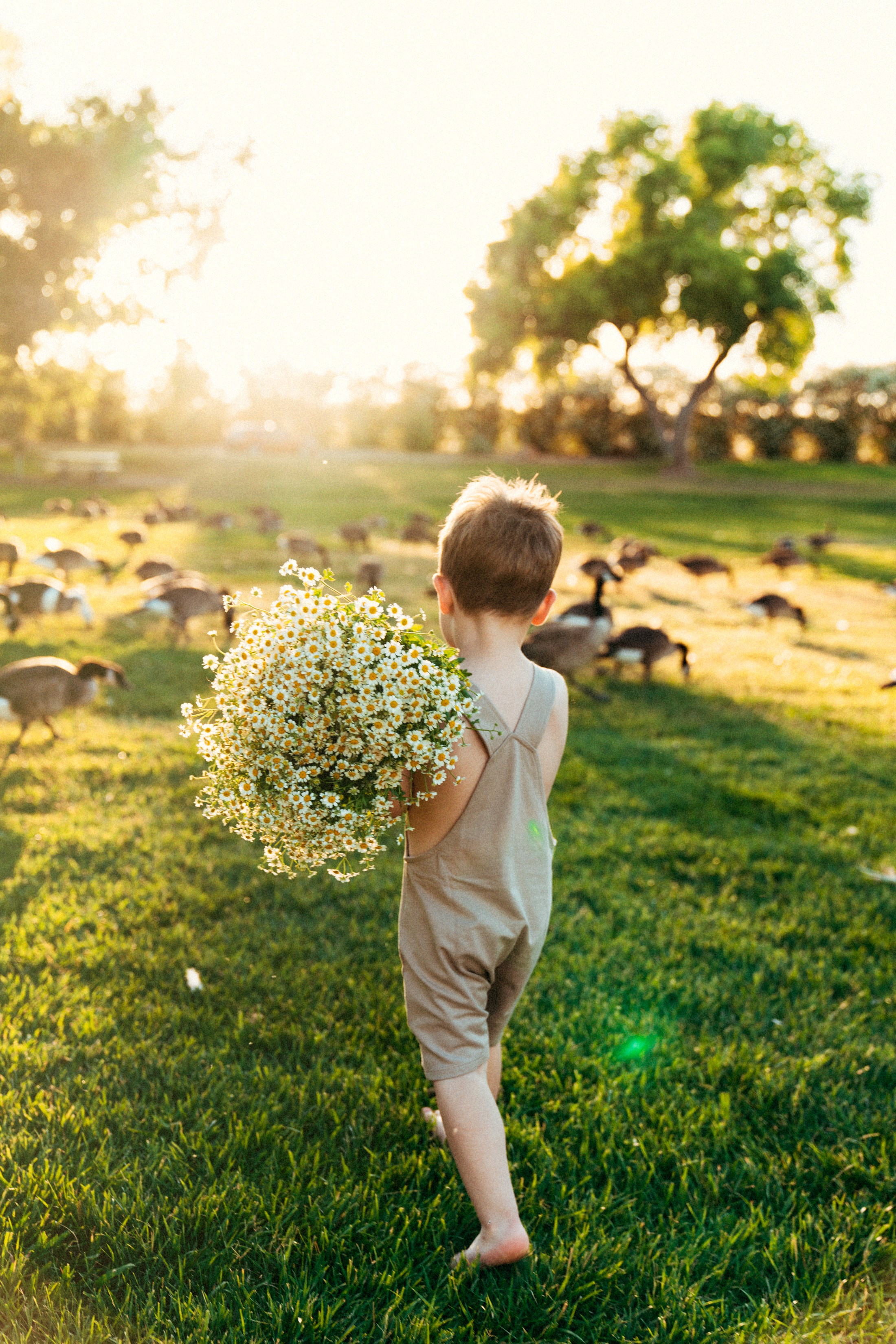 Yulya, Robert&Gordey. Wedding & elopement photographer Viktoriya Kravtsov. Las Vegas