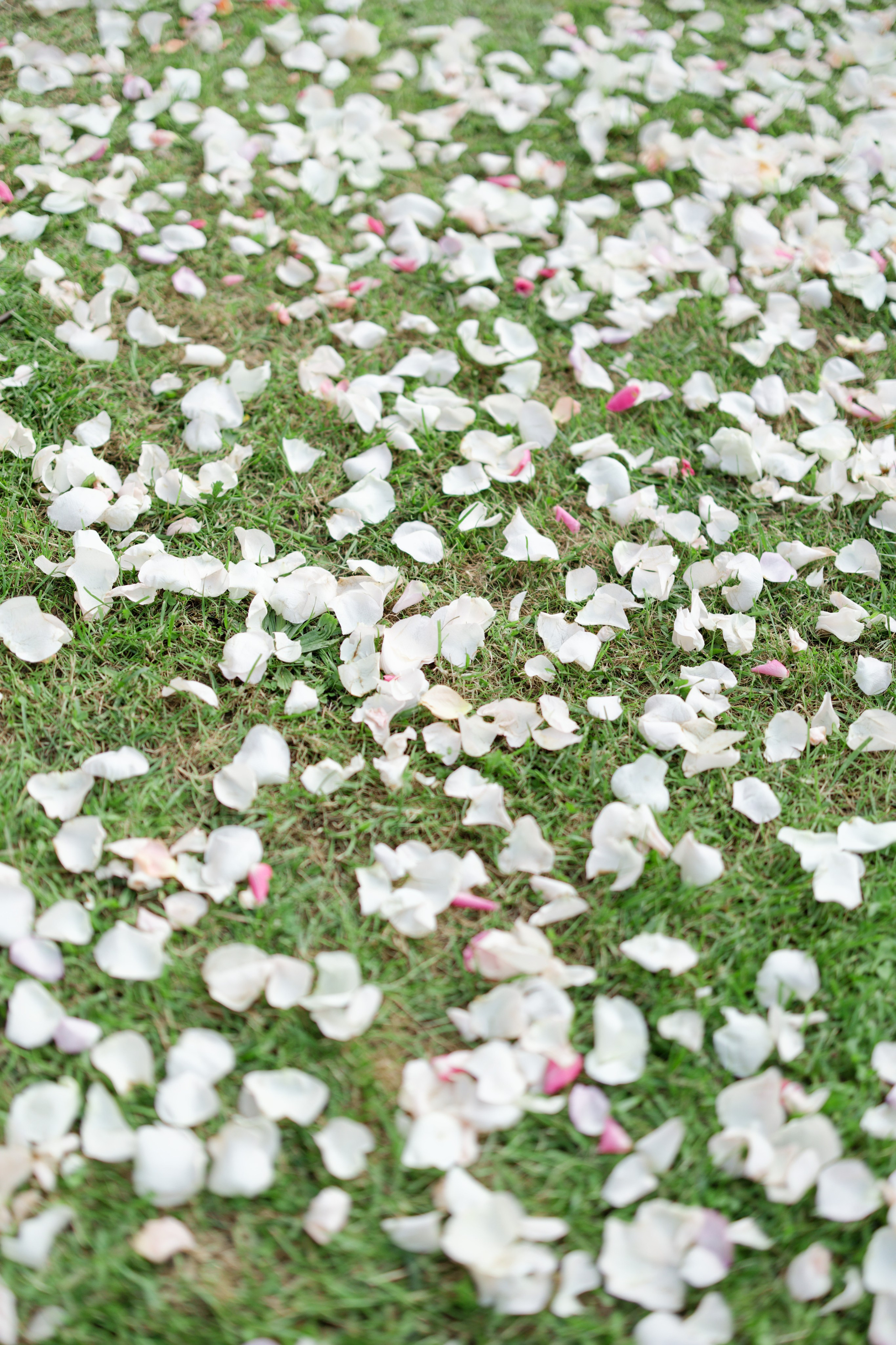 Wedding editorial at Villa di Geggiano, Tuscany, Italy