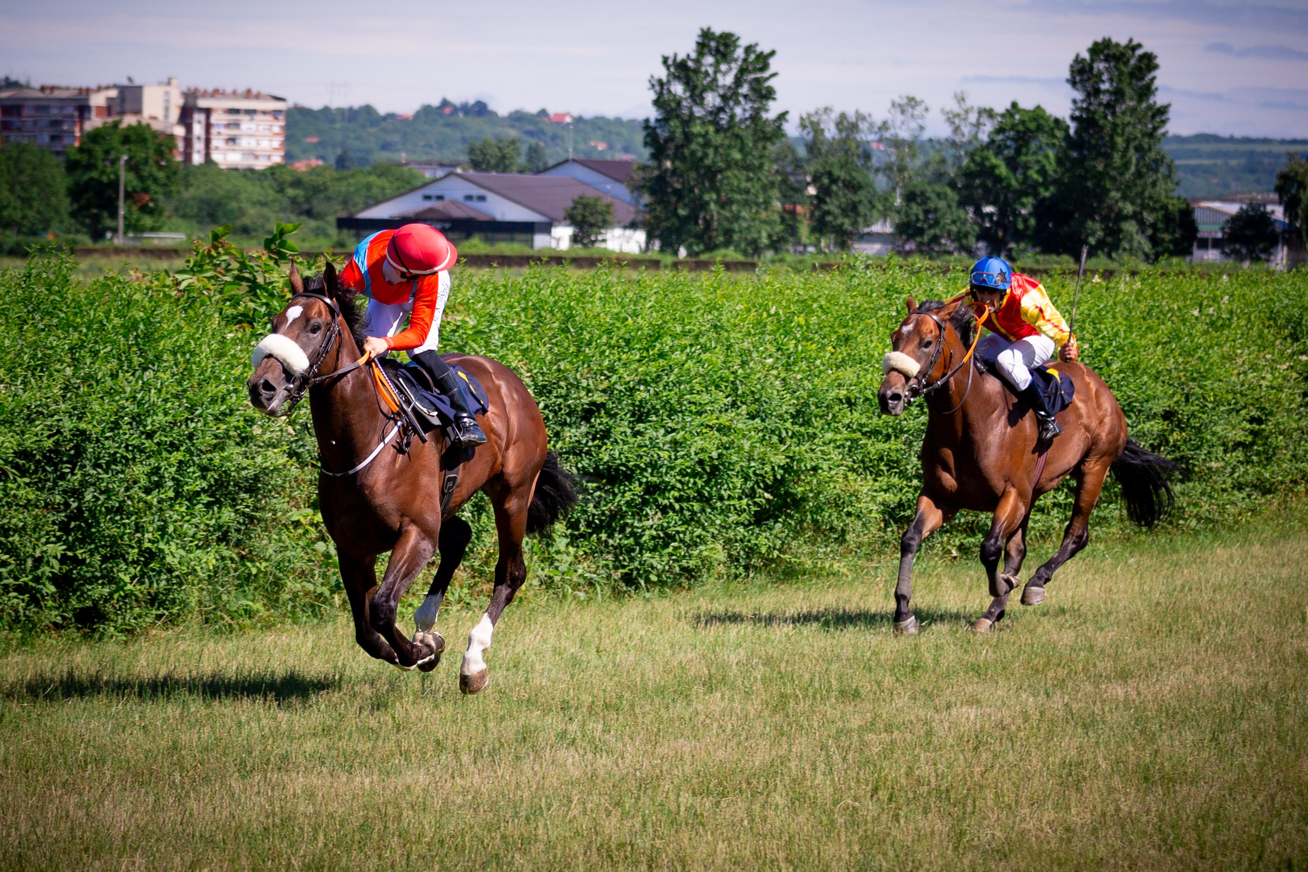 Konjičke trke u Požarevcu. Fotoivanpancevo