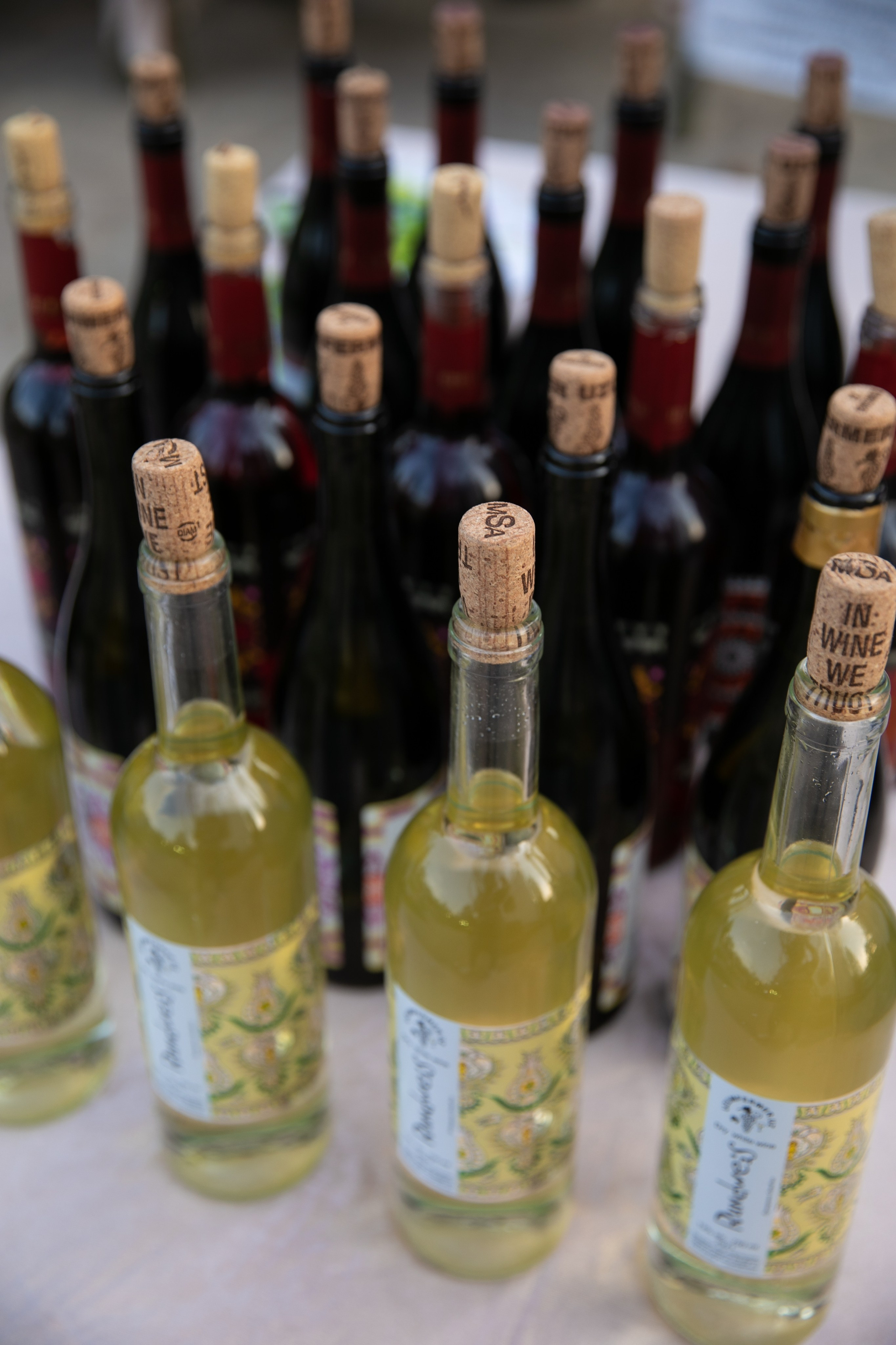 Olainfarm крупнейший производитель препаратов и фармацевтических субстанций в Прибалтике. Профессиональная Фото-Видео Студия Геннадия Нестеренко | Ташкент и Весь Узбекистан