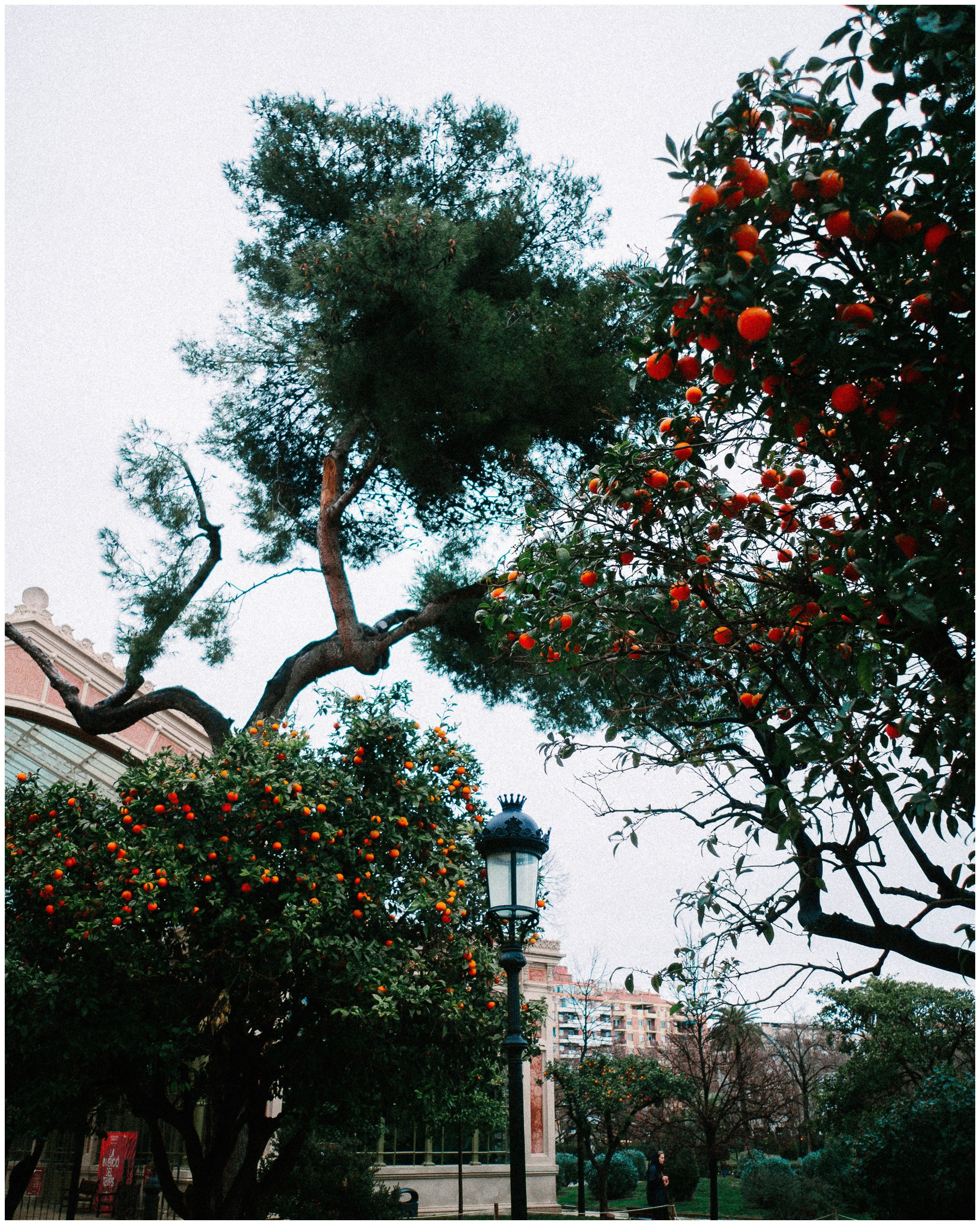 BARCELONA. Inna Mendelson — Photographer