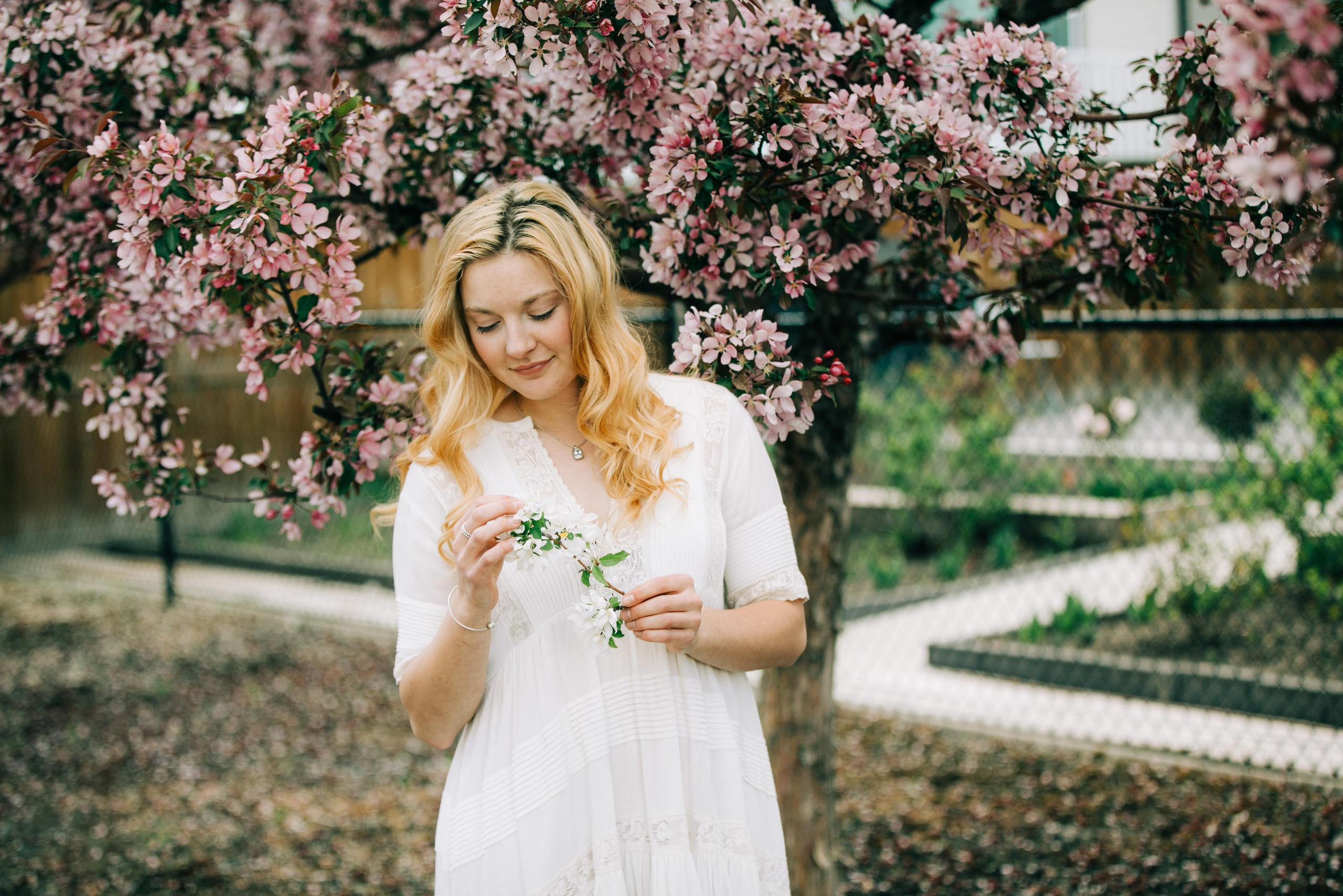 Cherry Blossom — Leann. Ching Li Photography