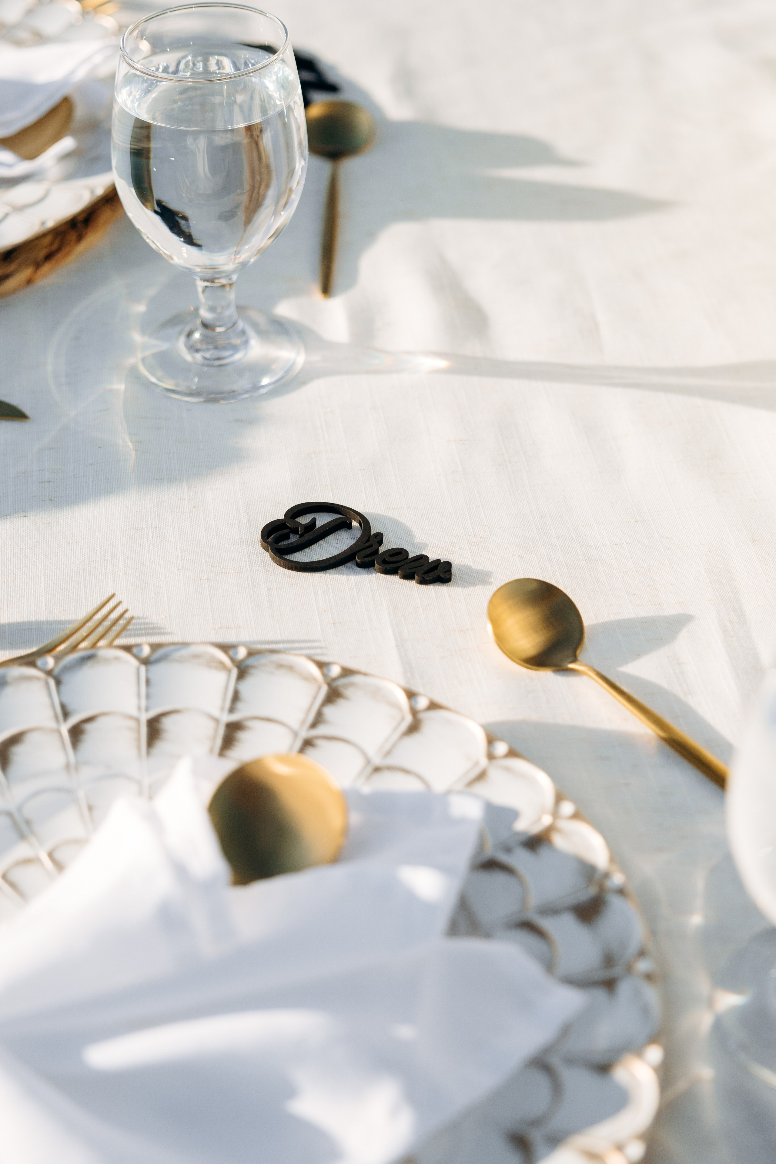 Drew and Haley. Wedding and family photographer San Diego