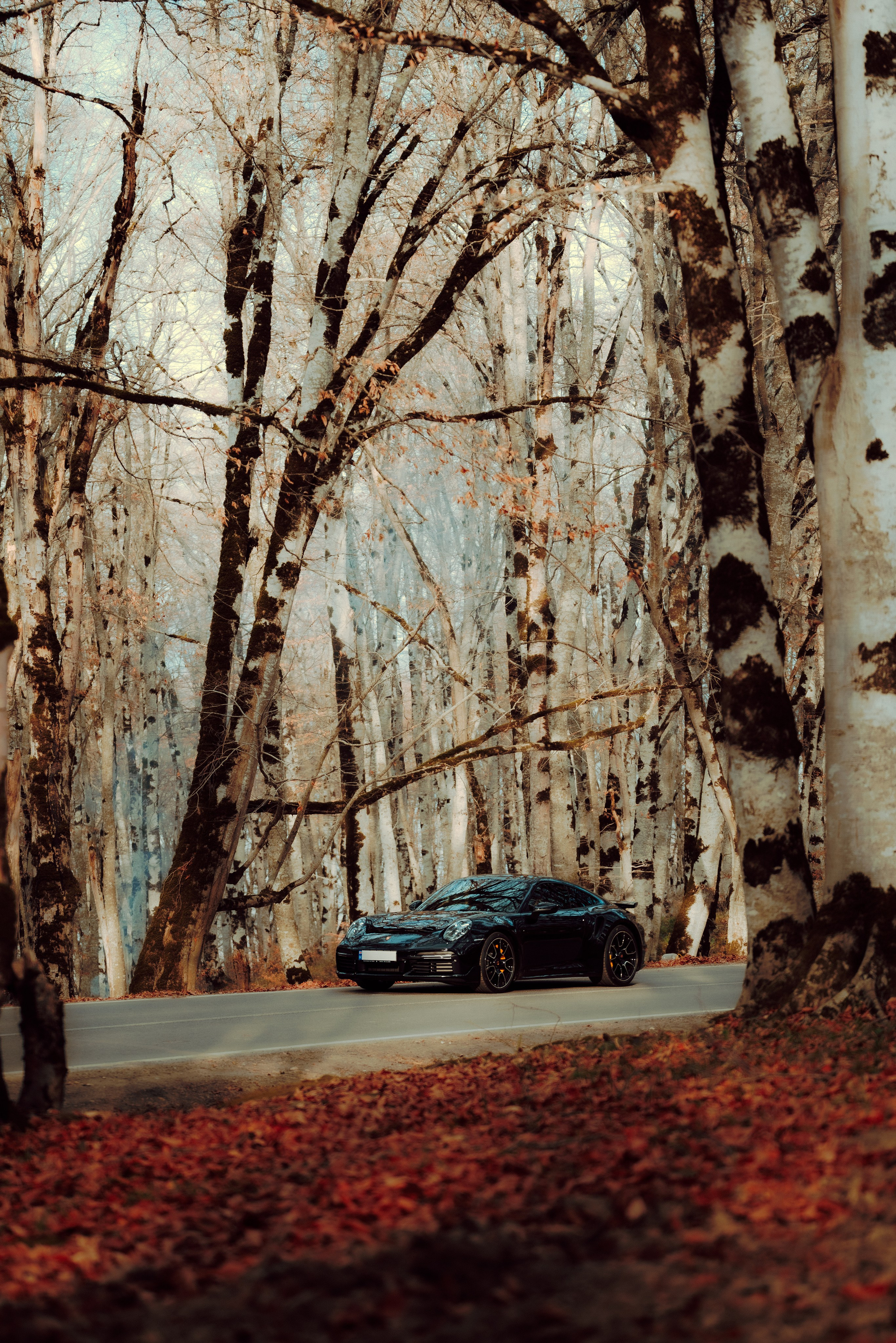 Porsche. Merabi Eminashvili