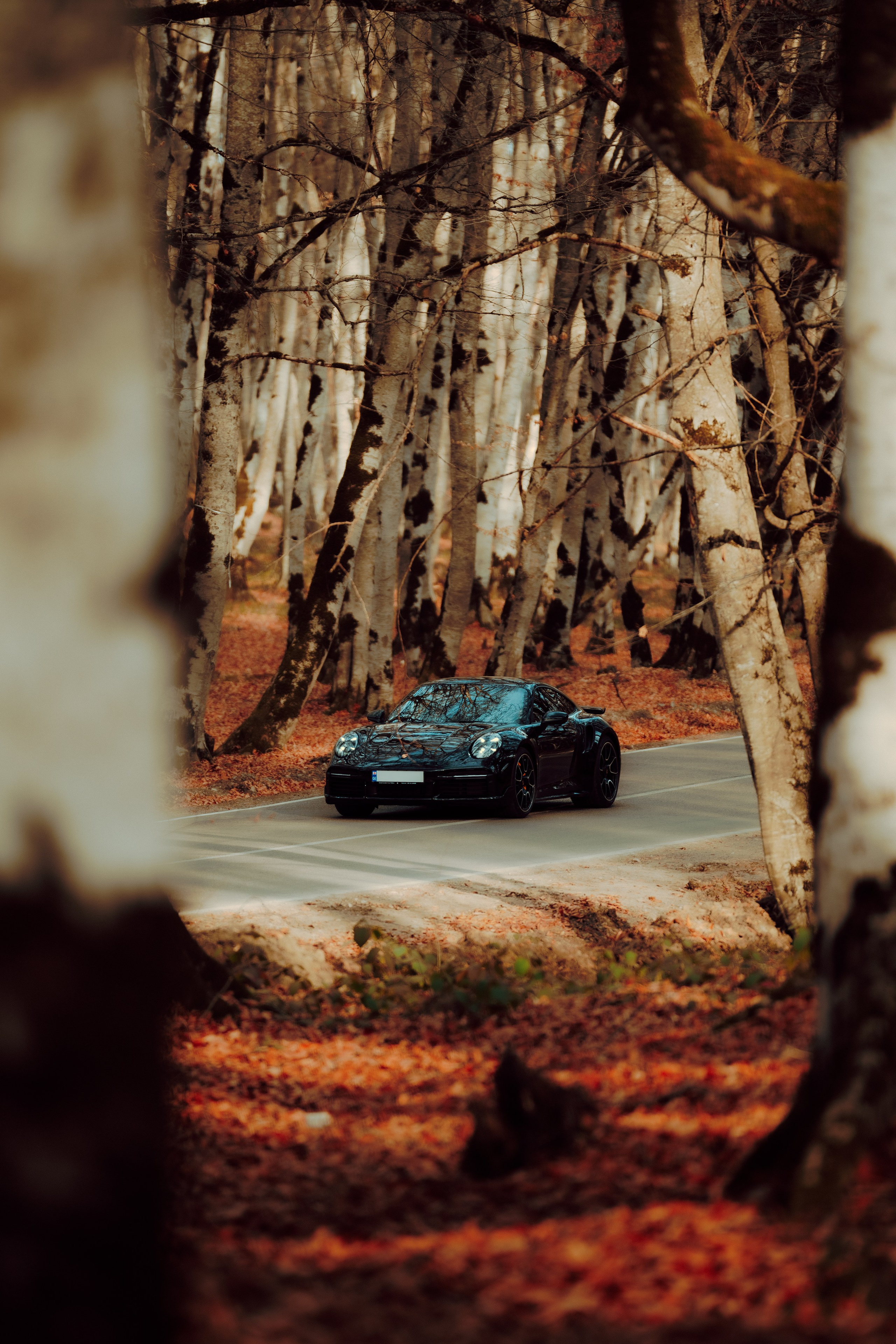 Porsche. Merabi Eminashvili