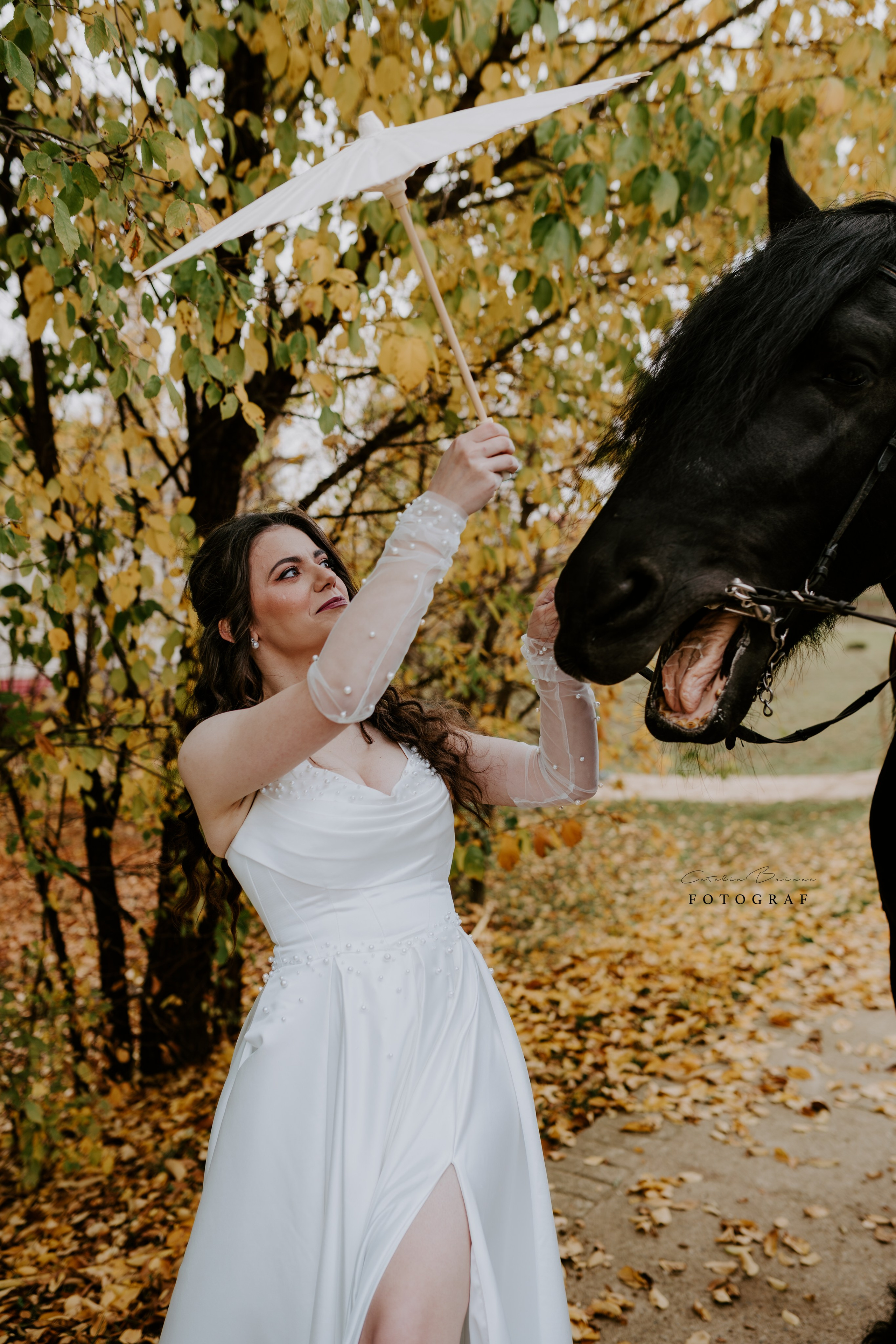 TTD — Ioana&Stefan. Catalin Brinza