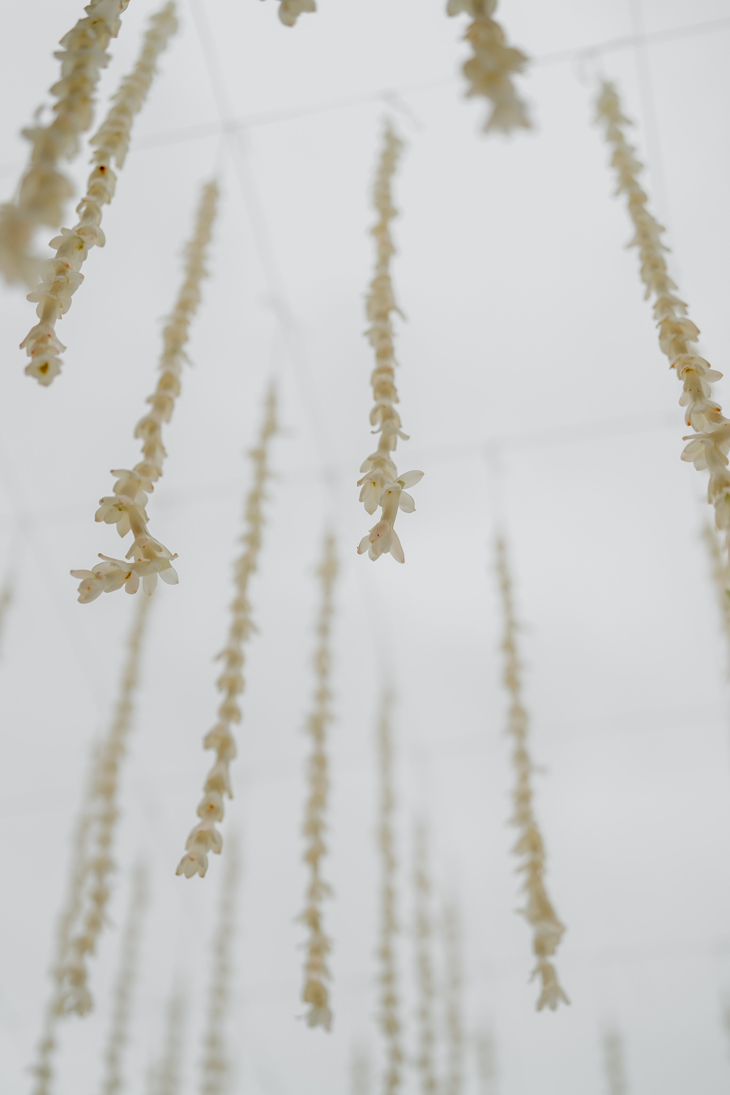 Beach Shaadi! Ft. Aishwarya & Milan. Fine art Wedding Photographers in India & Canada