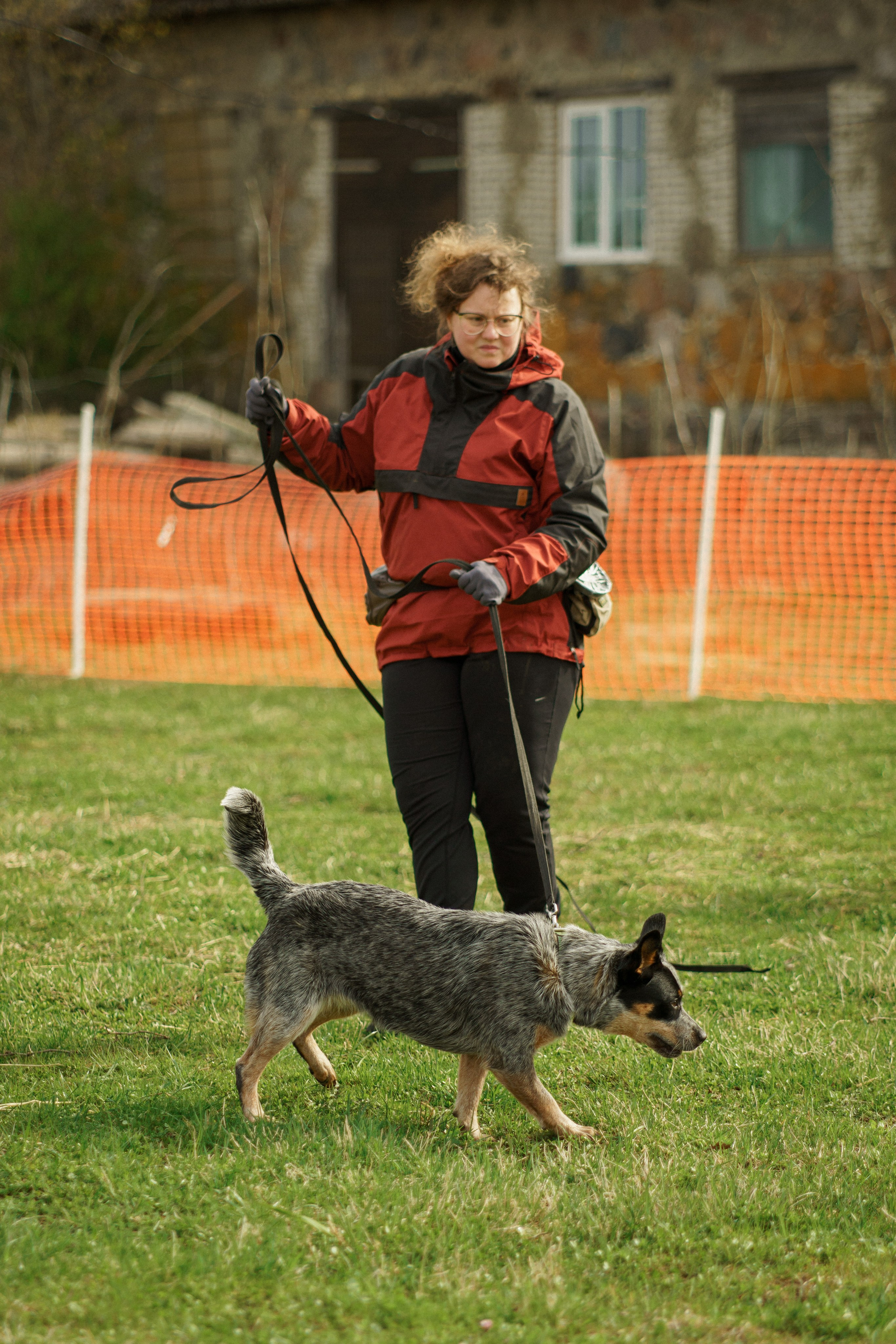 Herding Days, 26 apr. 2025. Kat Laisaar — Pet photographer in Tallinn