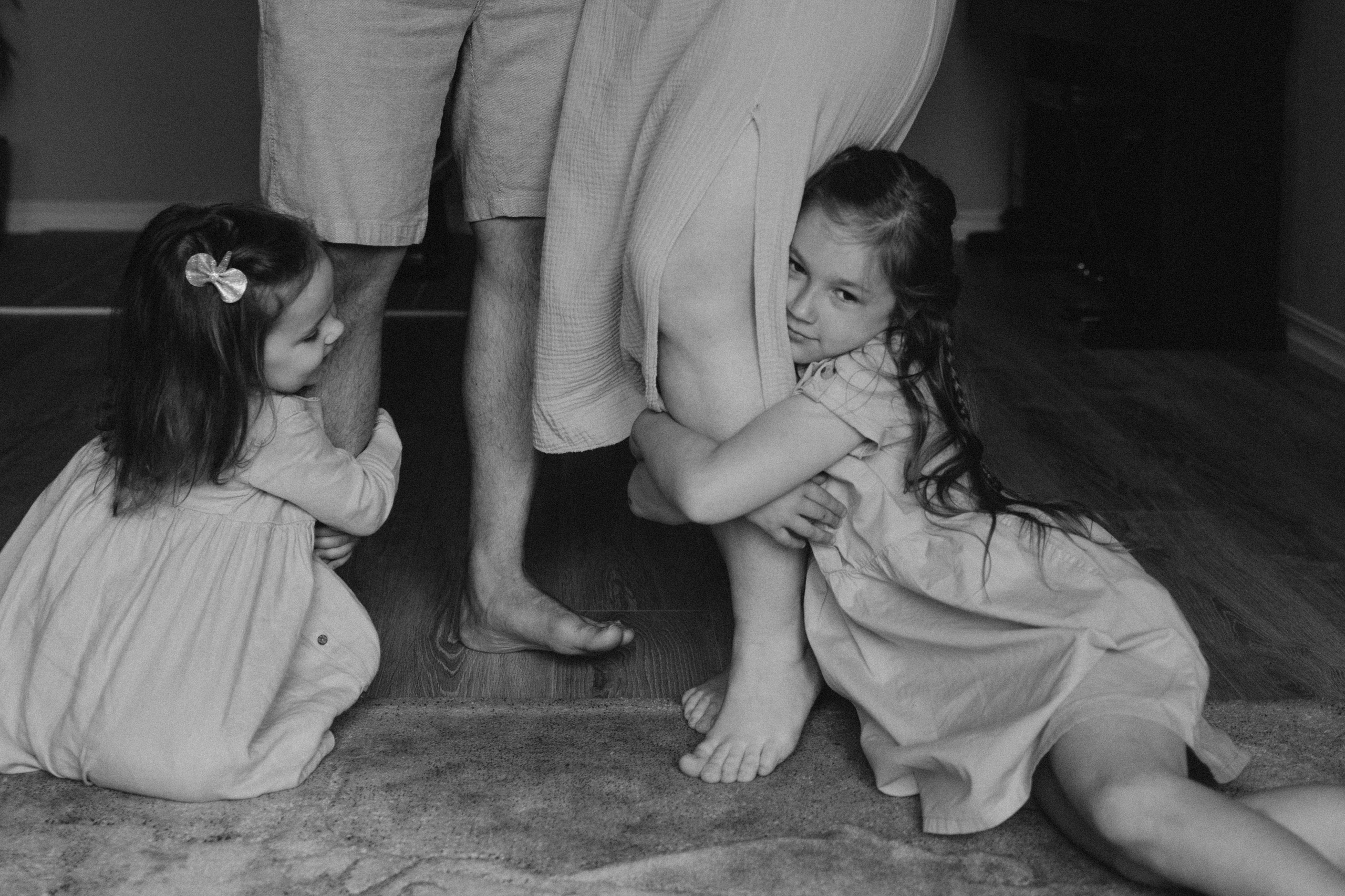 LAINES ģimene. GALVENĀ