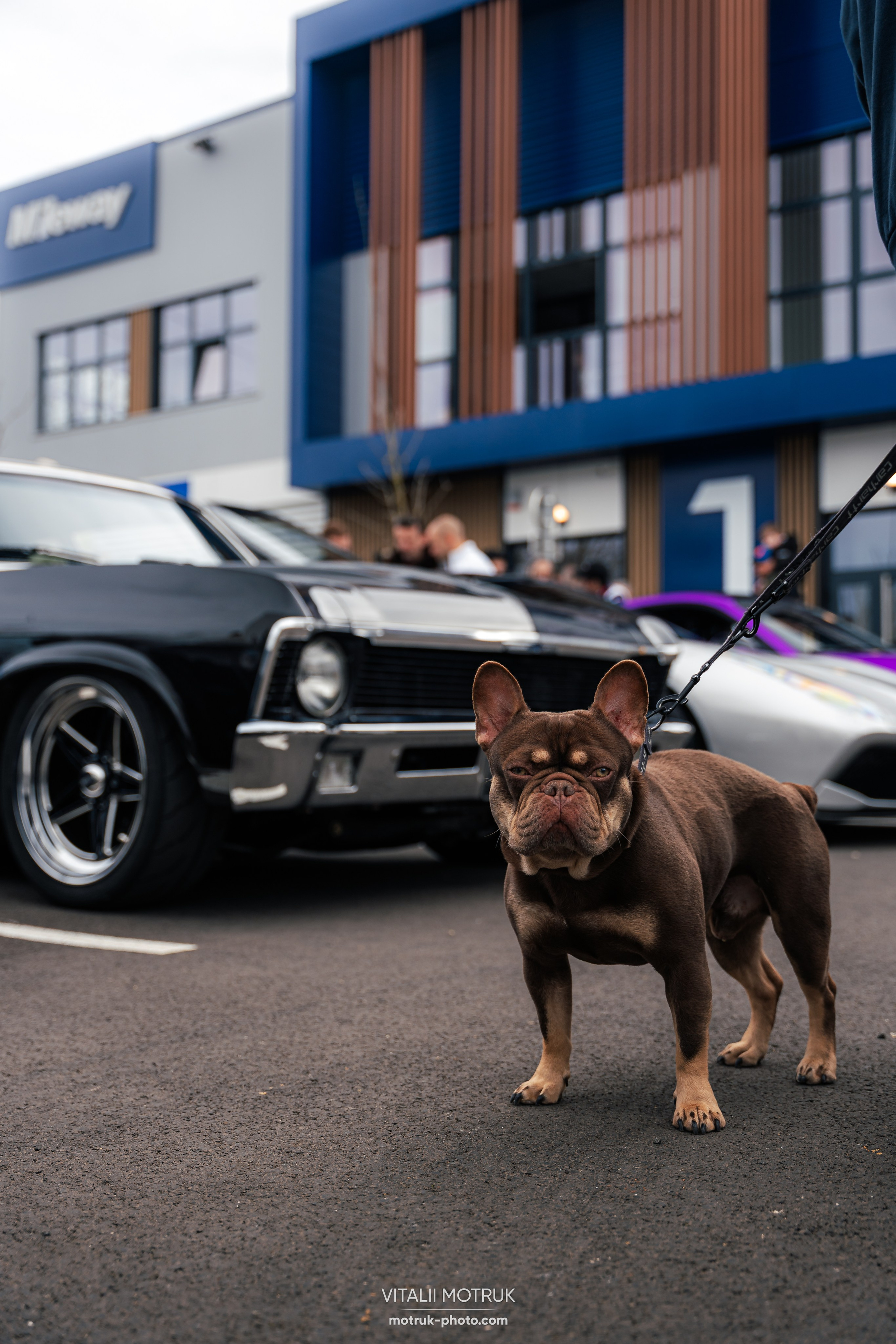 Cars and Coffee 9 mars — BEMA. Photographe de voitures à Paris — Vitalii Motruk