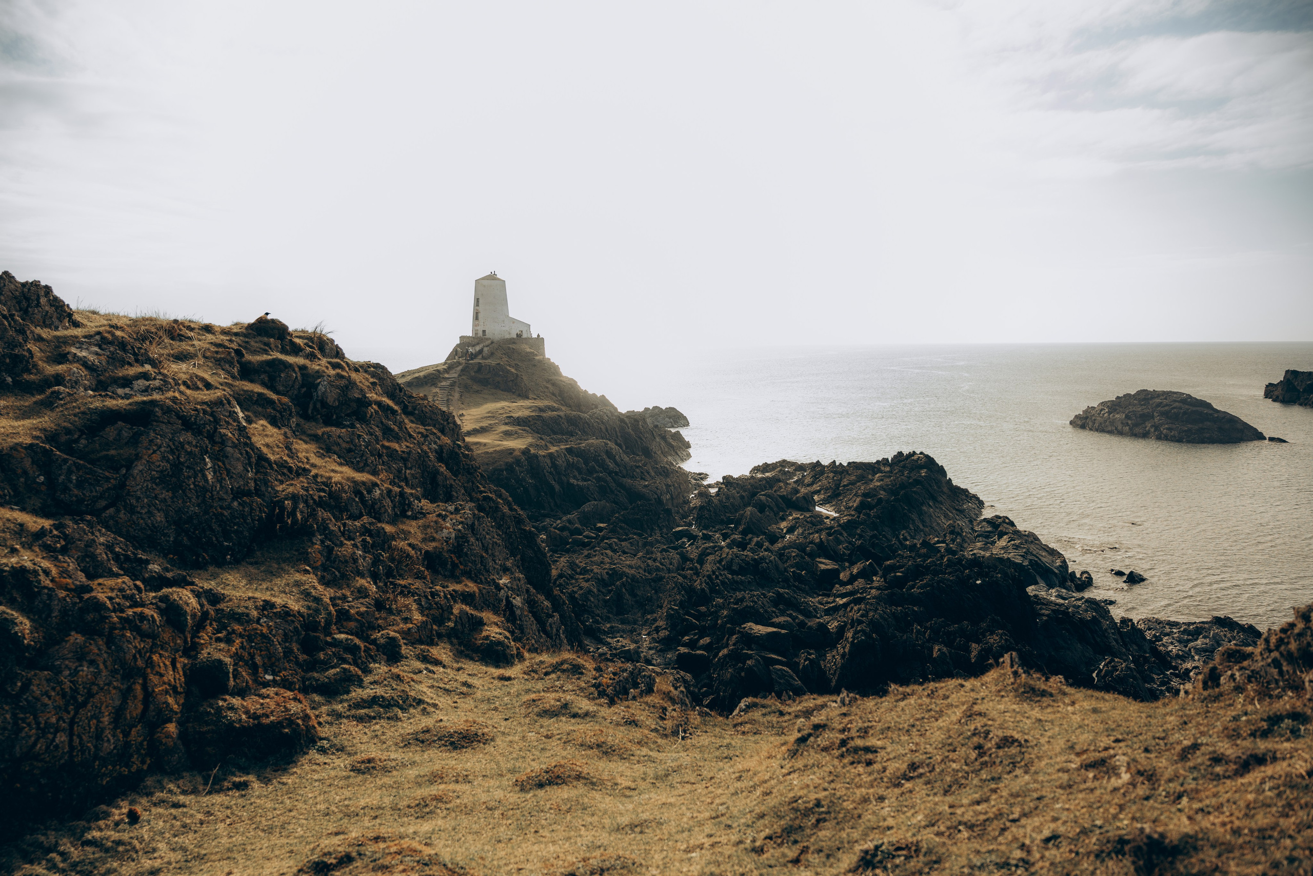 M & C session in Wales. Tania Gandrabur, photographer in West Midlands, England