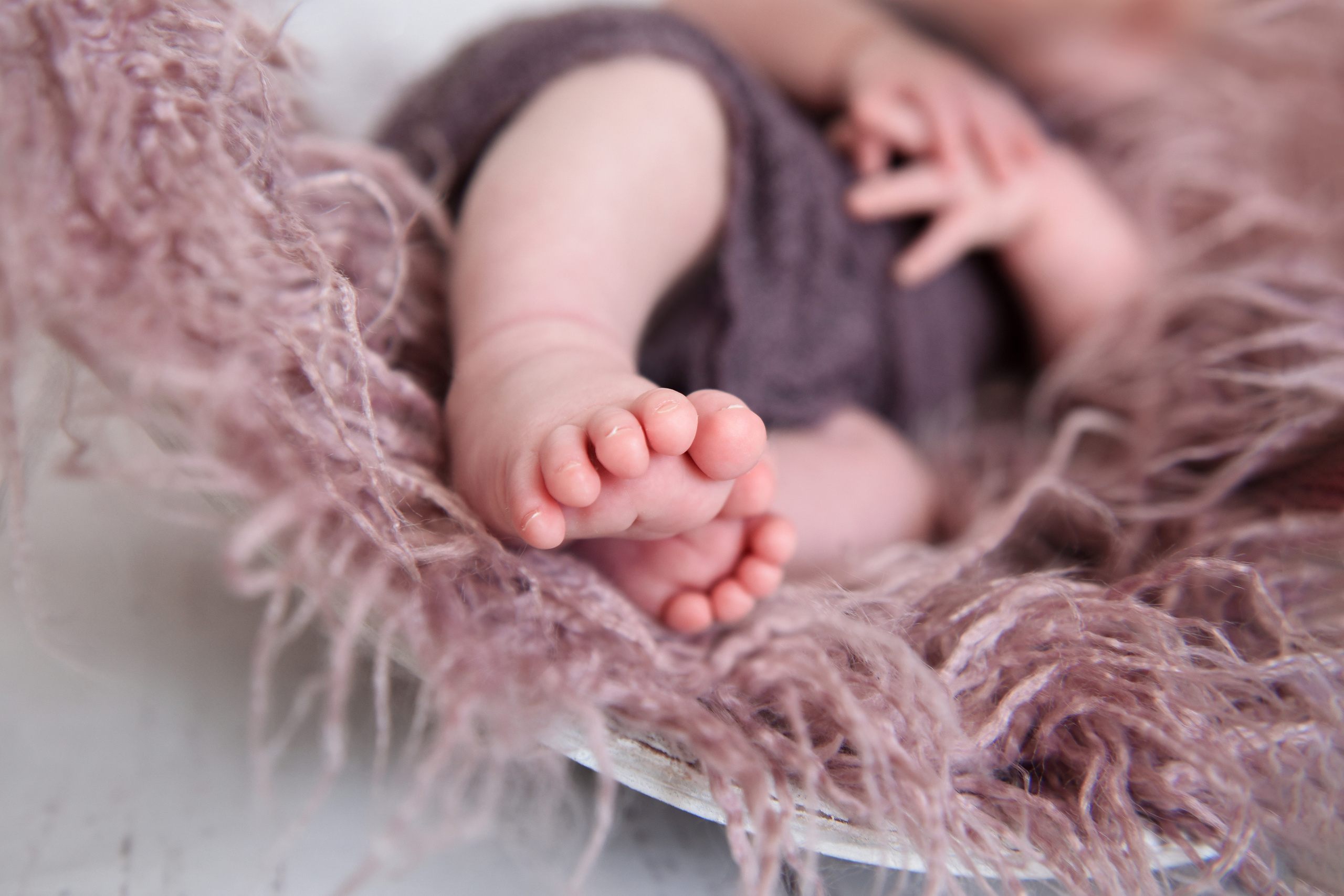 Baby. Фотограф Елена Регер, Зиндельфинген