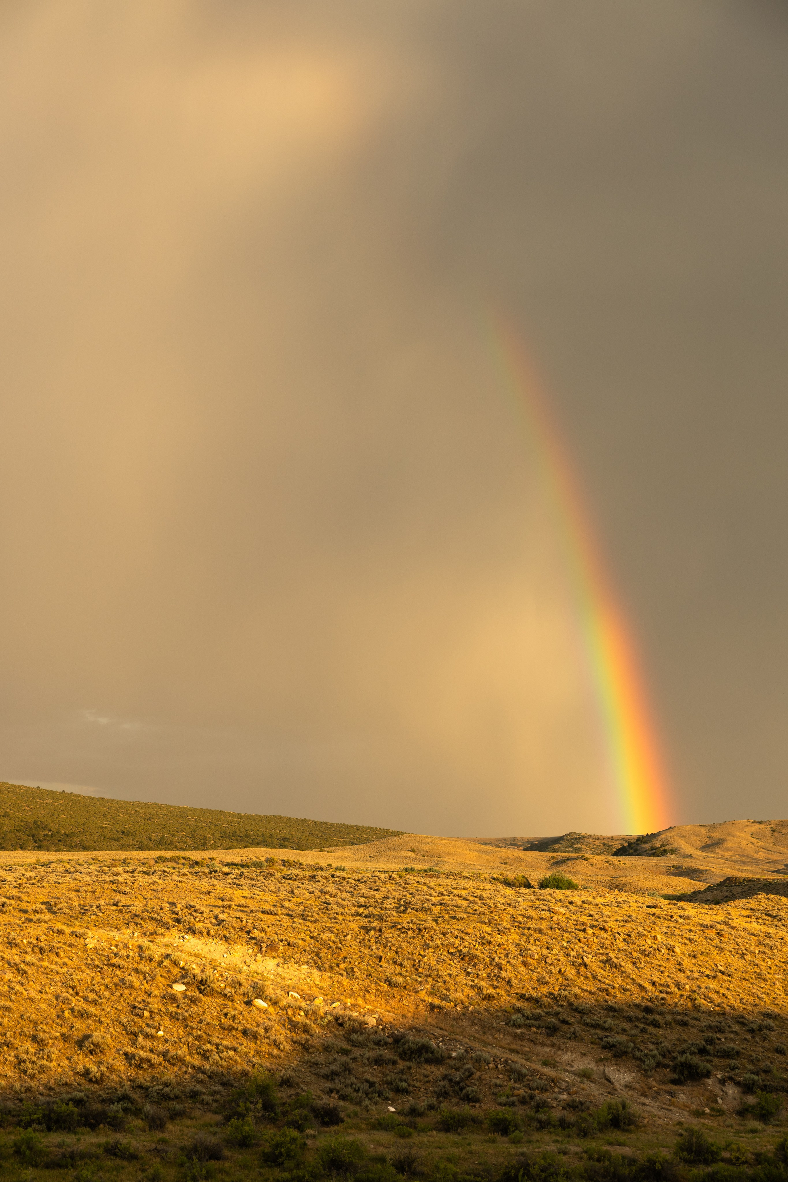 Wyoming. Family Lifestyle Photography