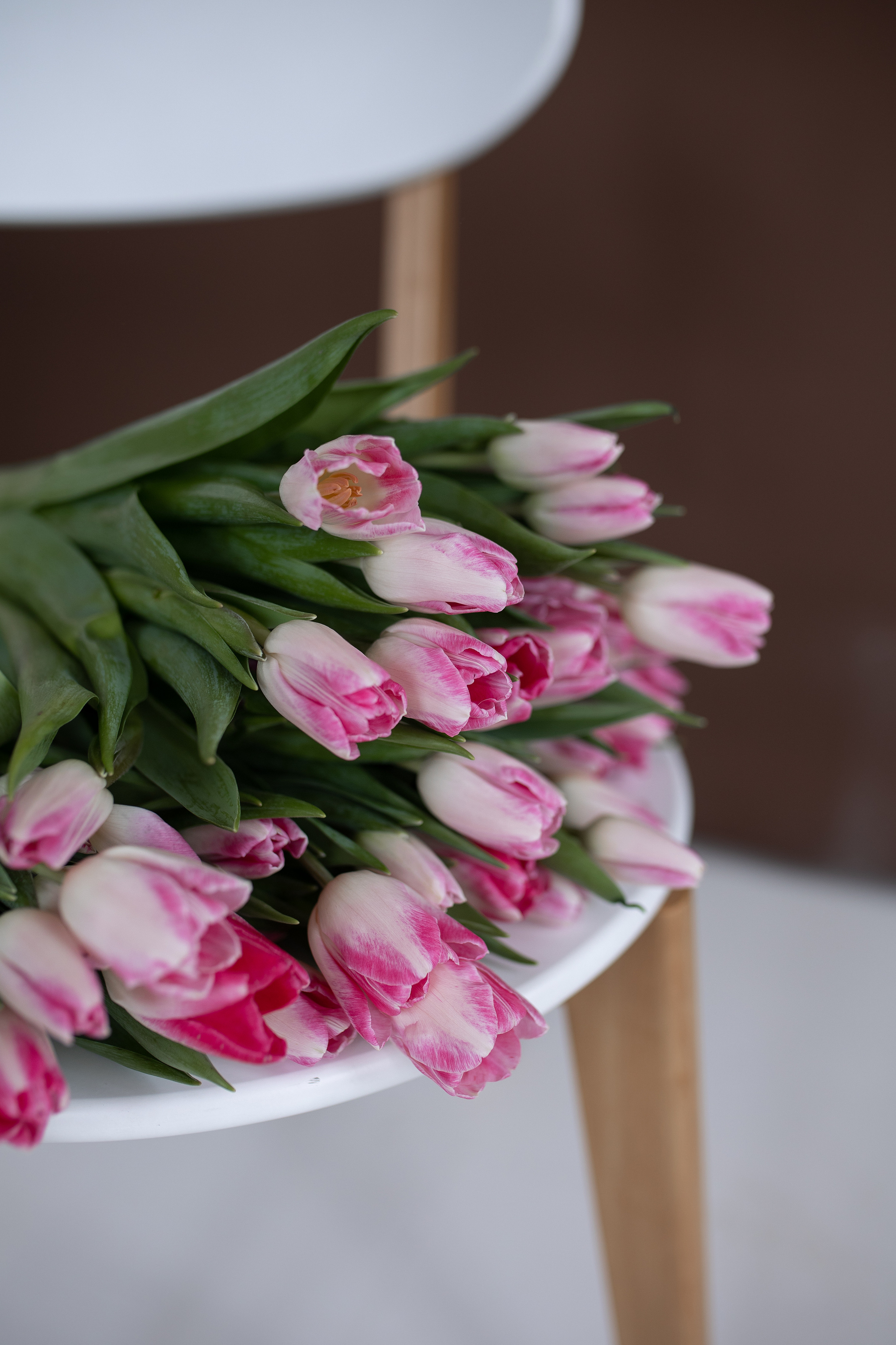 Настя. Портретный и контент фотограф в Нидерландах Ольга Лыткина