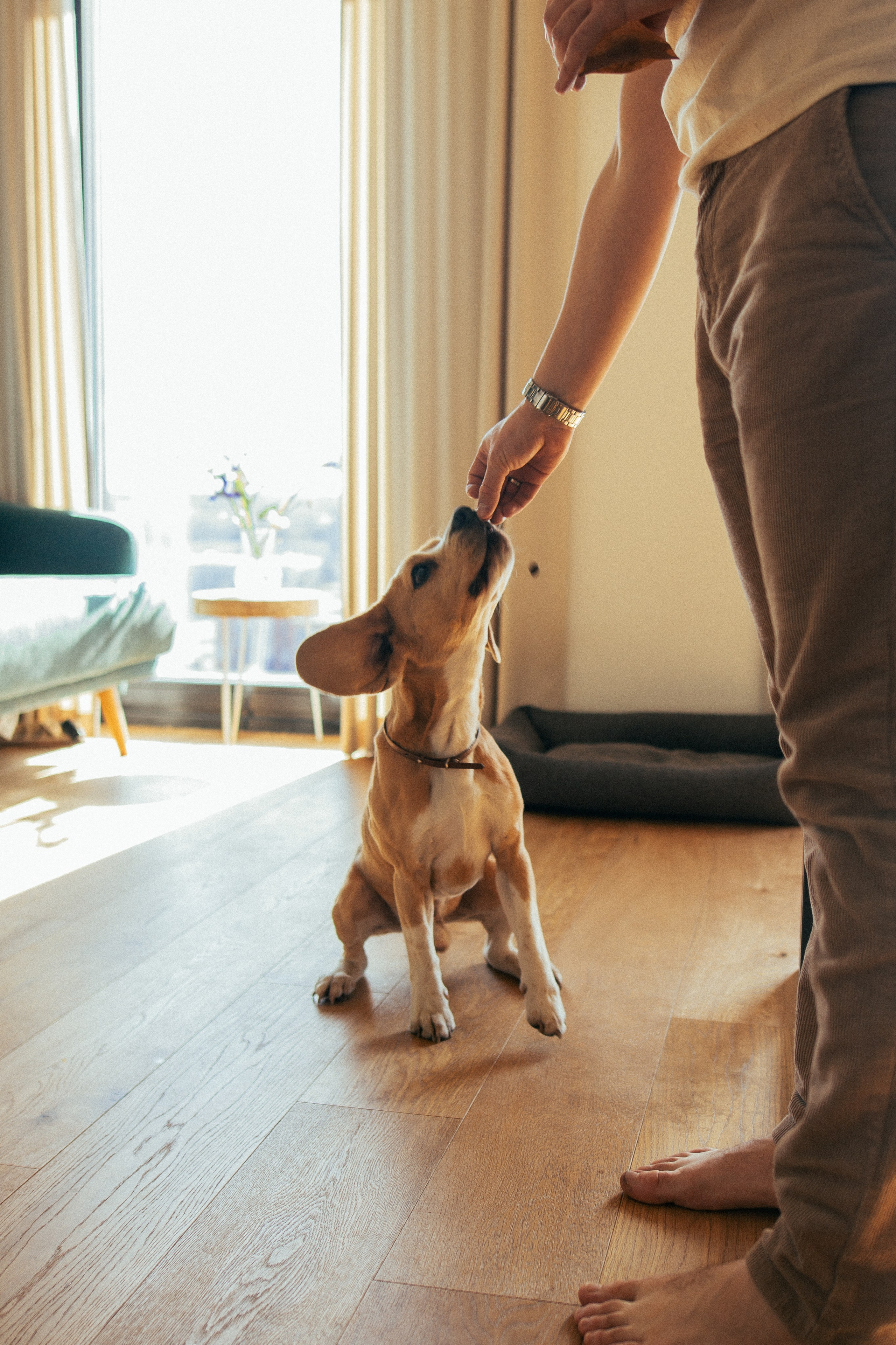 Никита и Кетрин. Главная