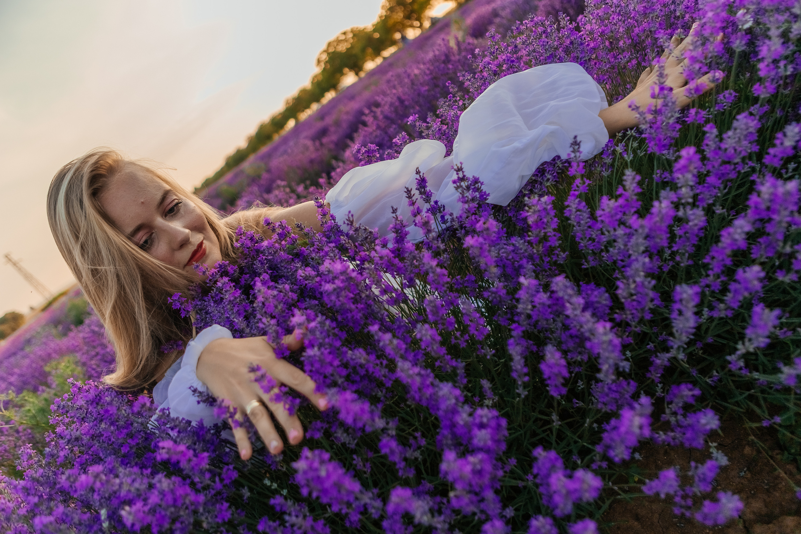 Фоторазходка Лавандула. Фотограф Ирина Йотова