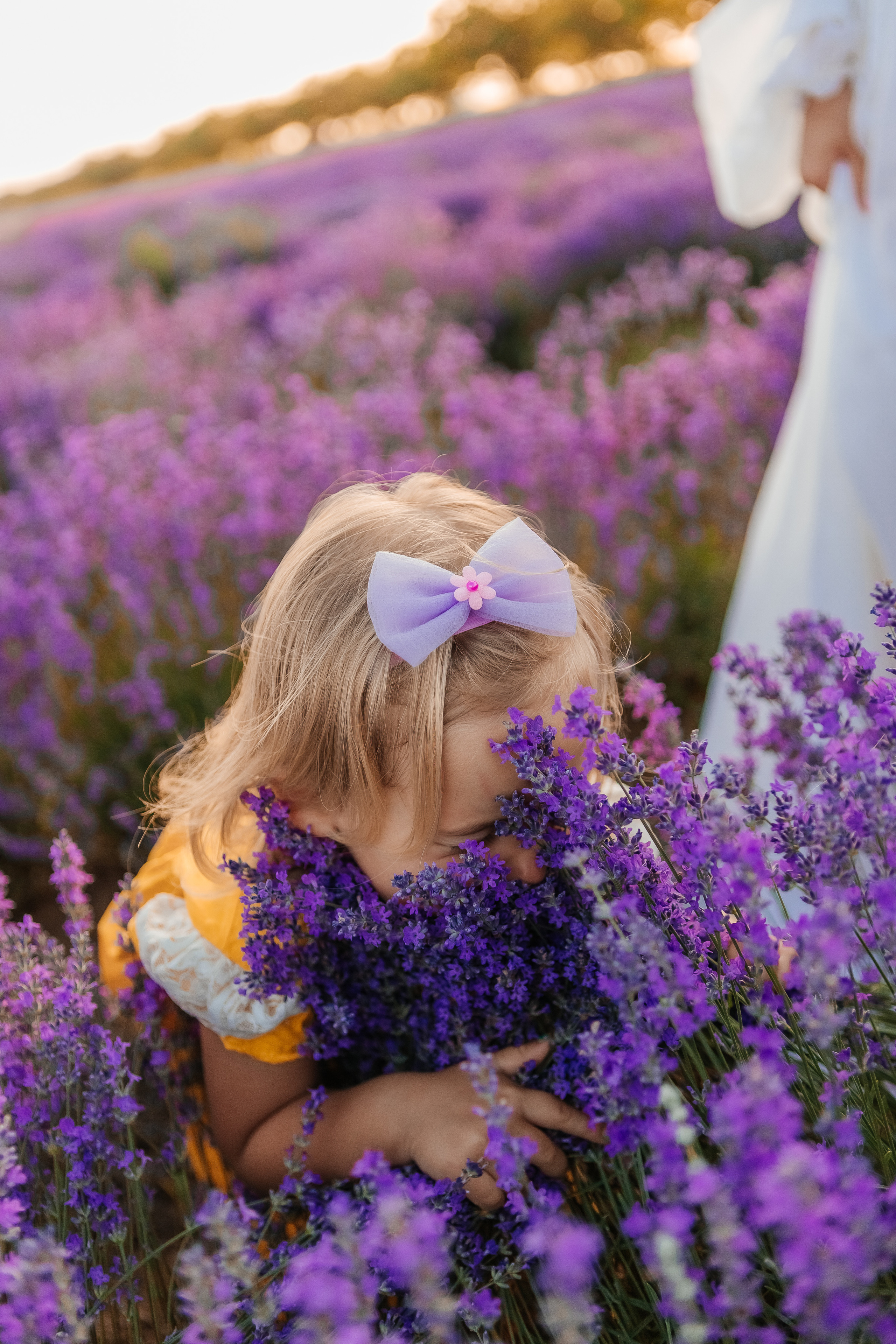 Фоторазходка Лавандула. Фотограф Ирина Йотова