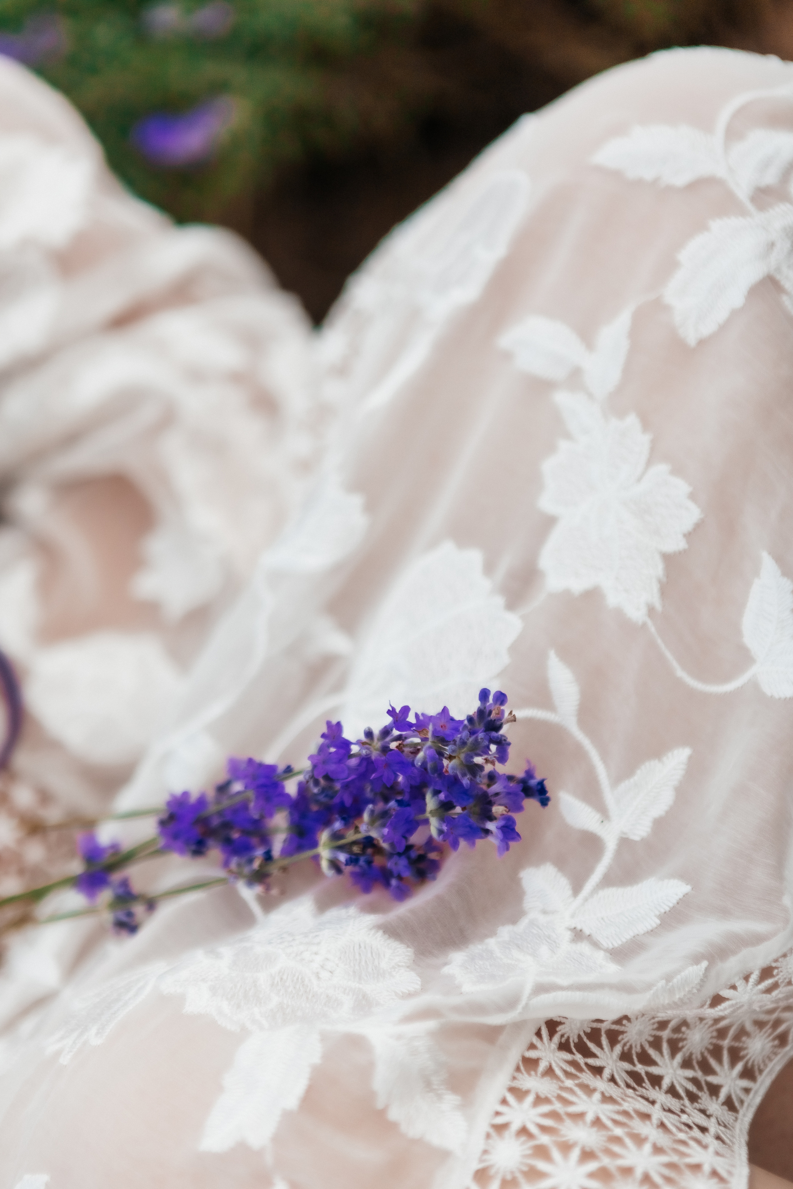 Фоторазходка Лавандула. Фотограф Ирина Йотова