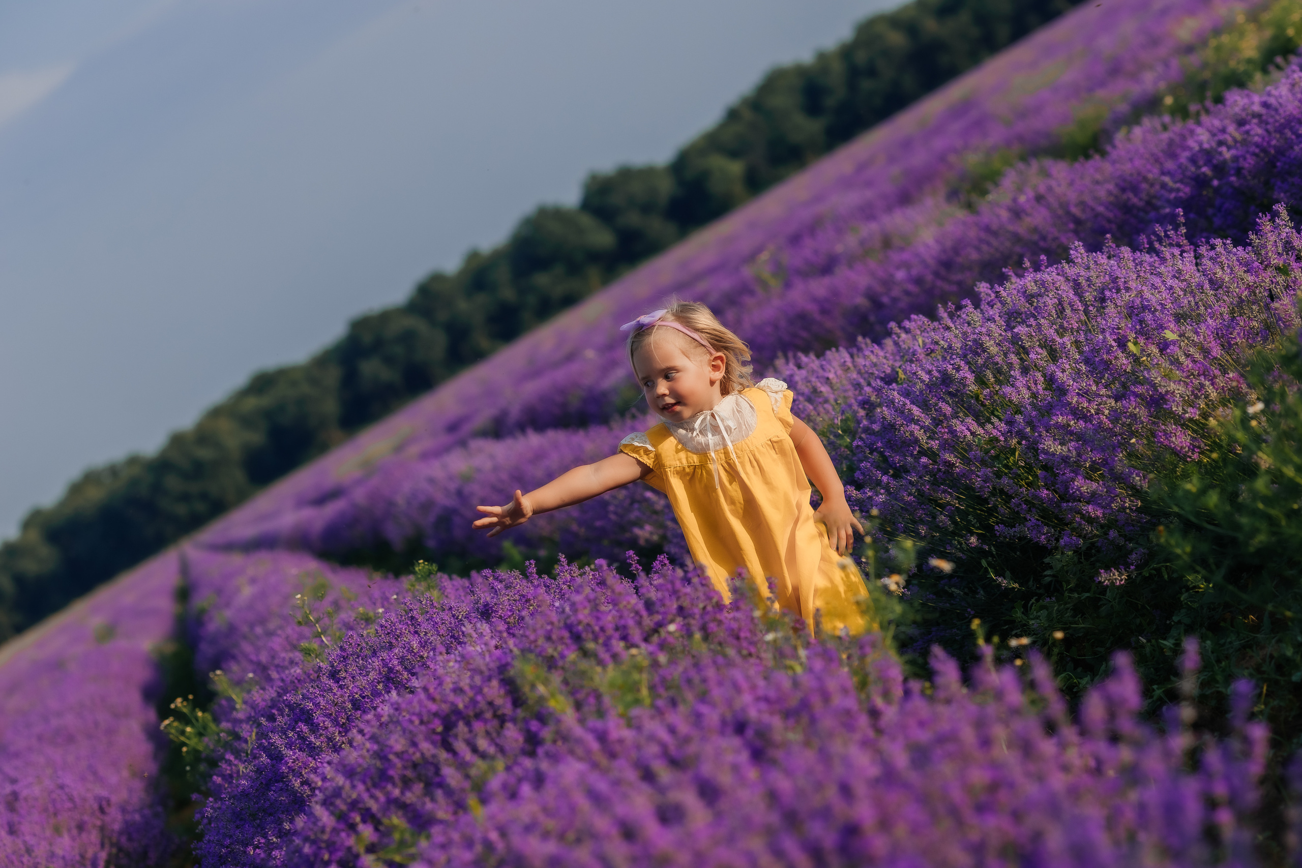 Фоторазходка Лавандула. Фотограф Ирина Йотова