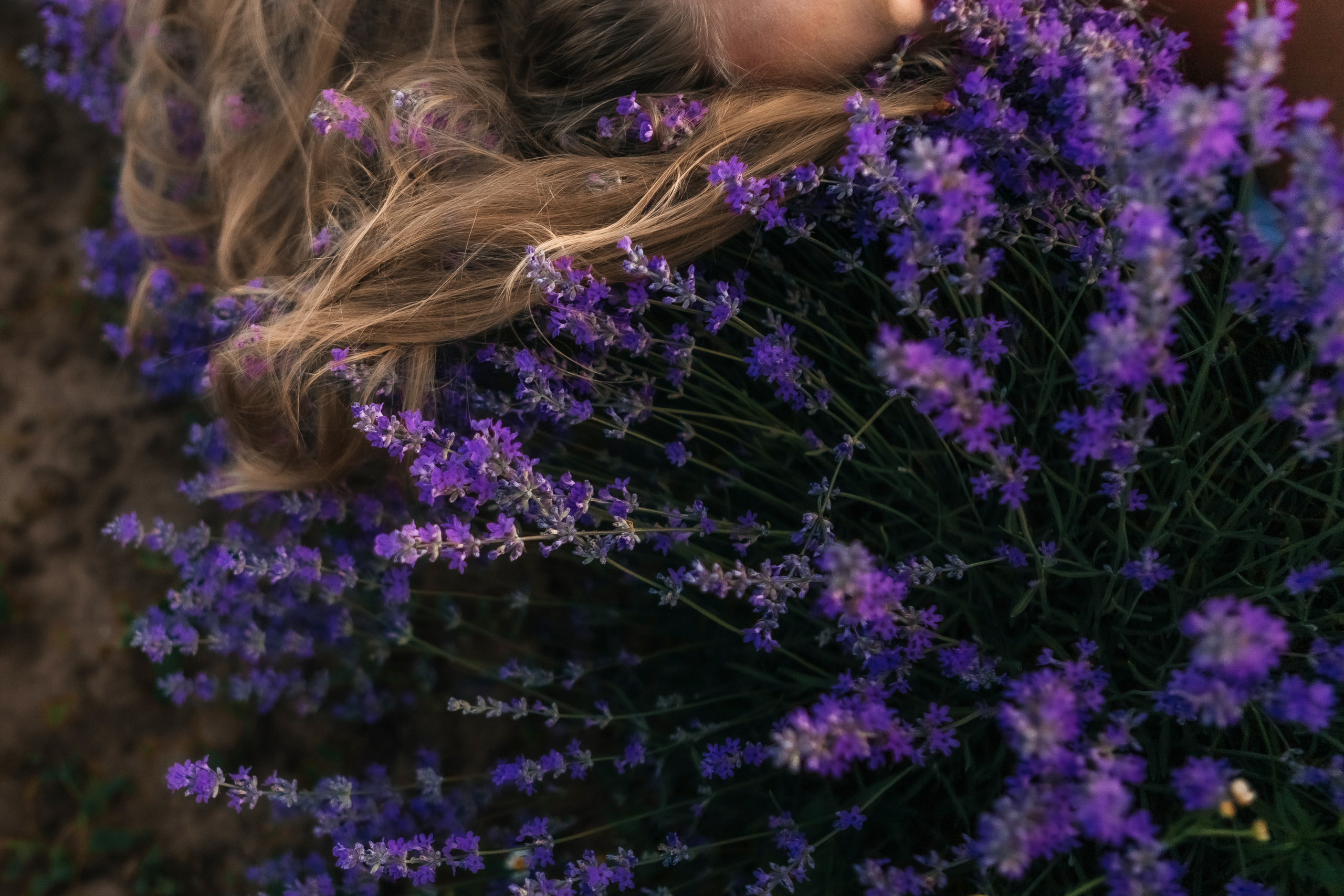 Фоторазходка Лавандула. Фотограф Ирина Йотова