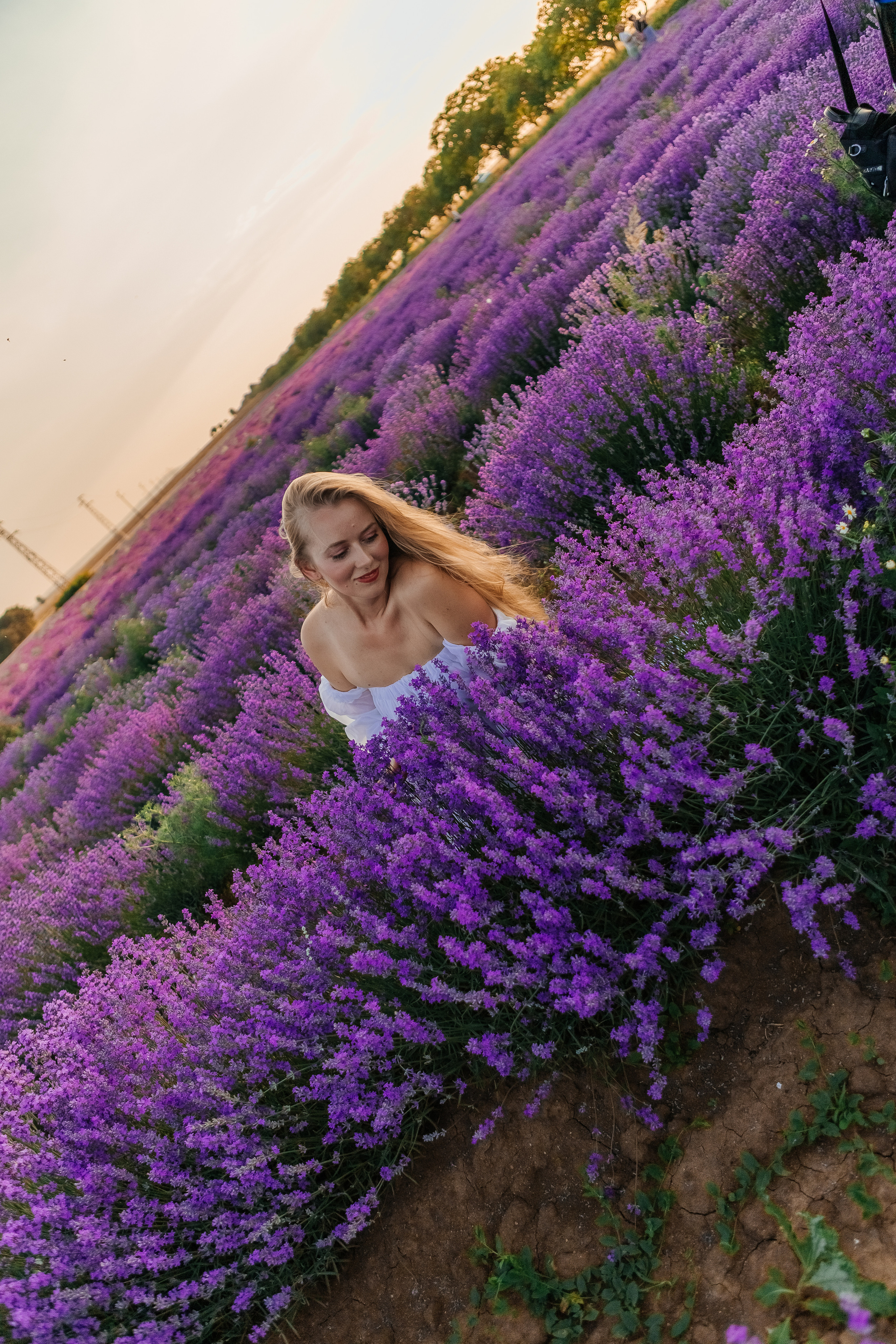 Фоторазходка Лавандула. Фотограф Ирина Йотова