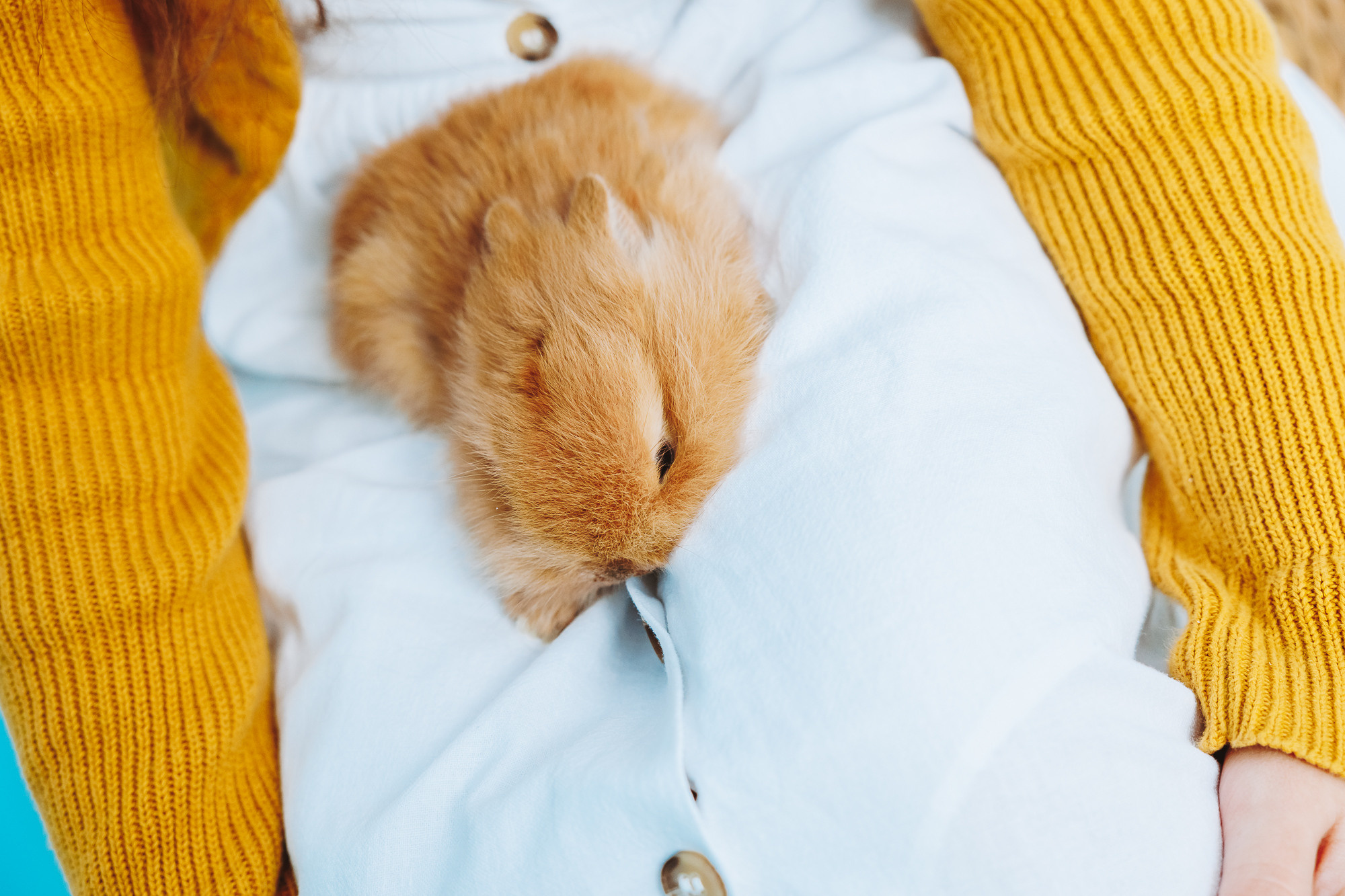 Великден. Фотограф Ирина Йотова