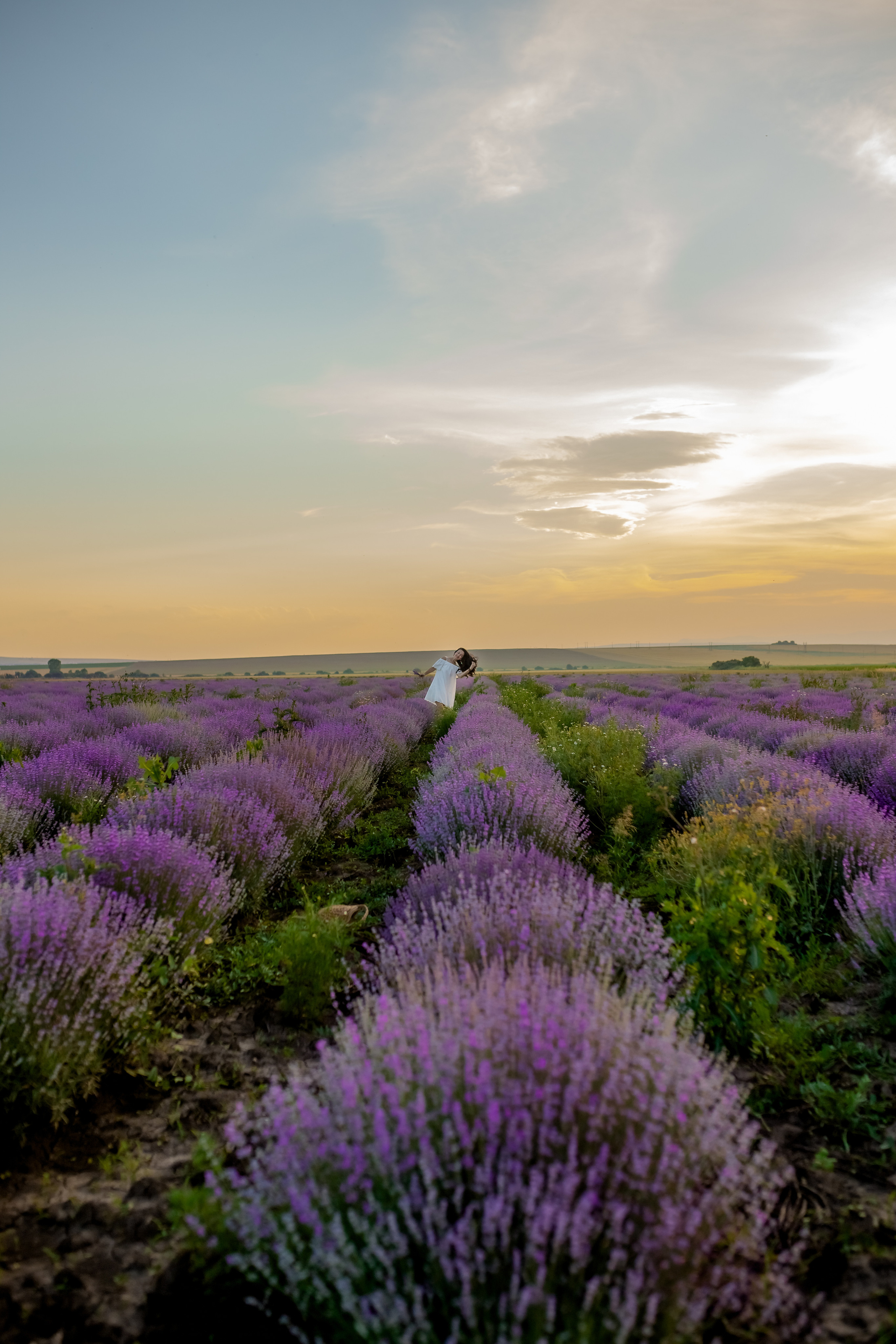Фоторазходка Лавандула. Фотограф Ирина Йотова