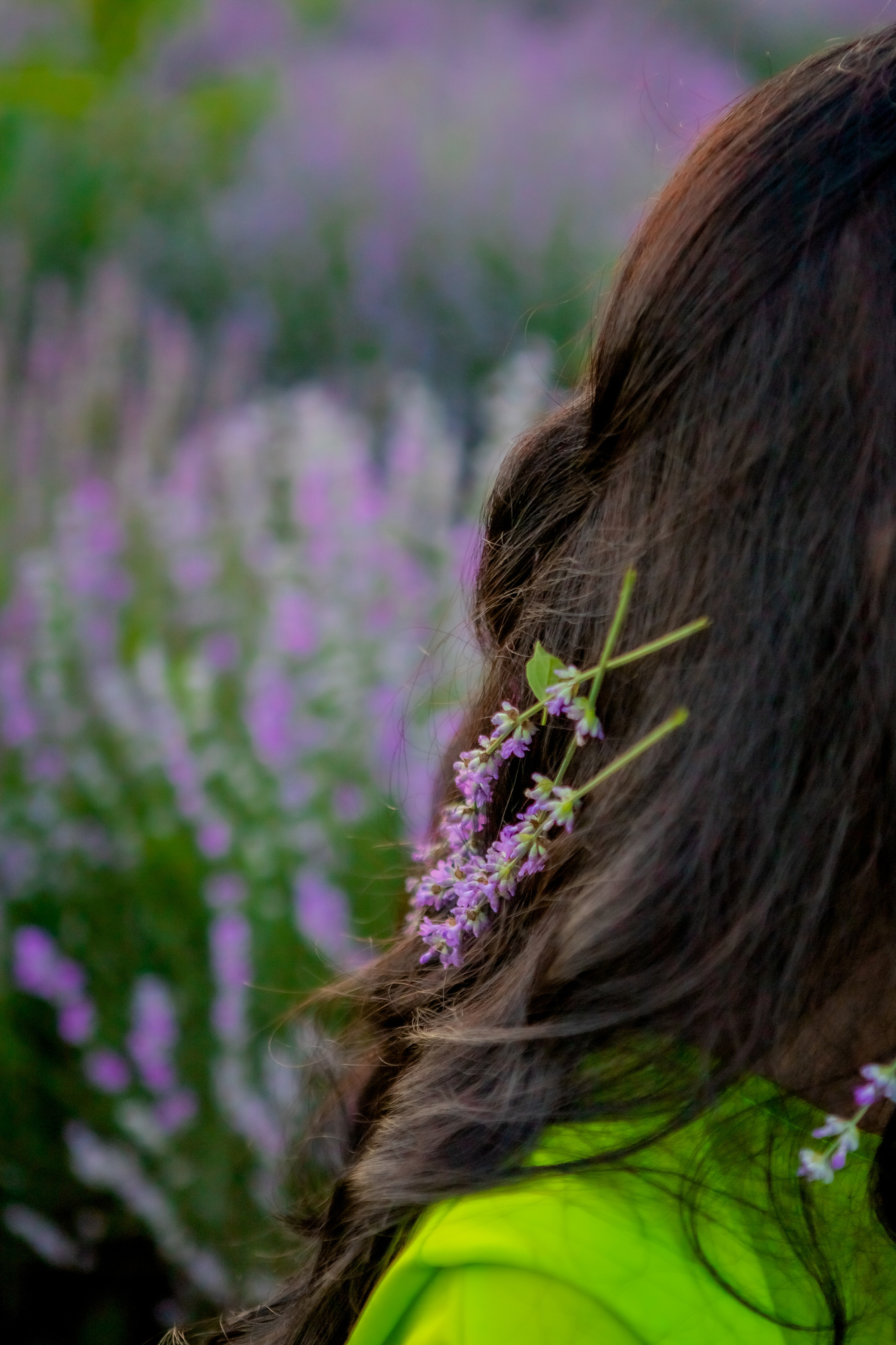 Фоторазходка Лавандула. Фотограф Ирина Йотова