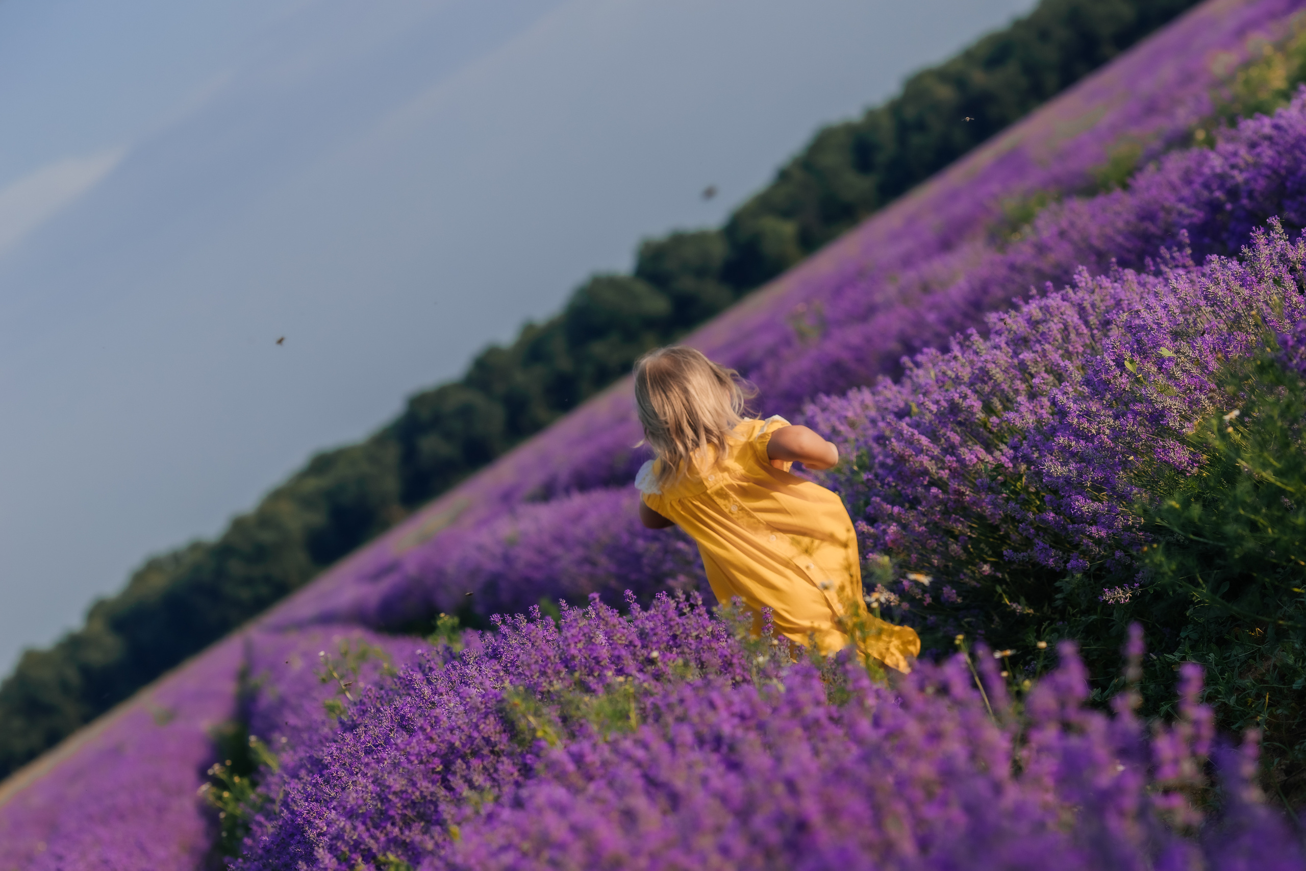 Фоторазходка Лавандула. Фотограф Ирина Йотова