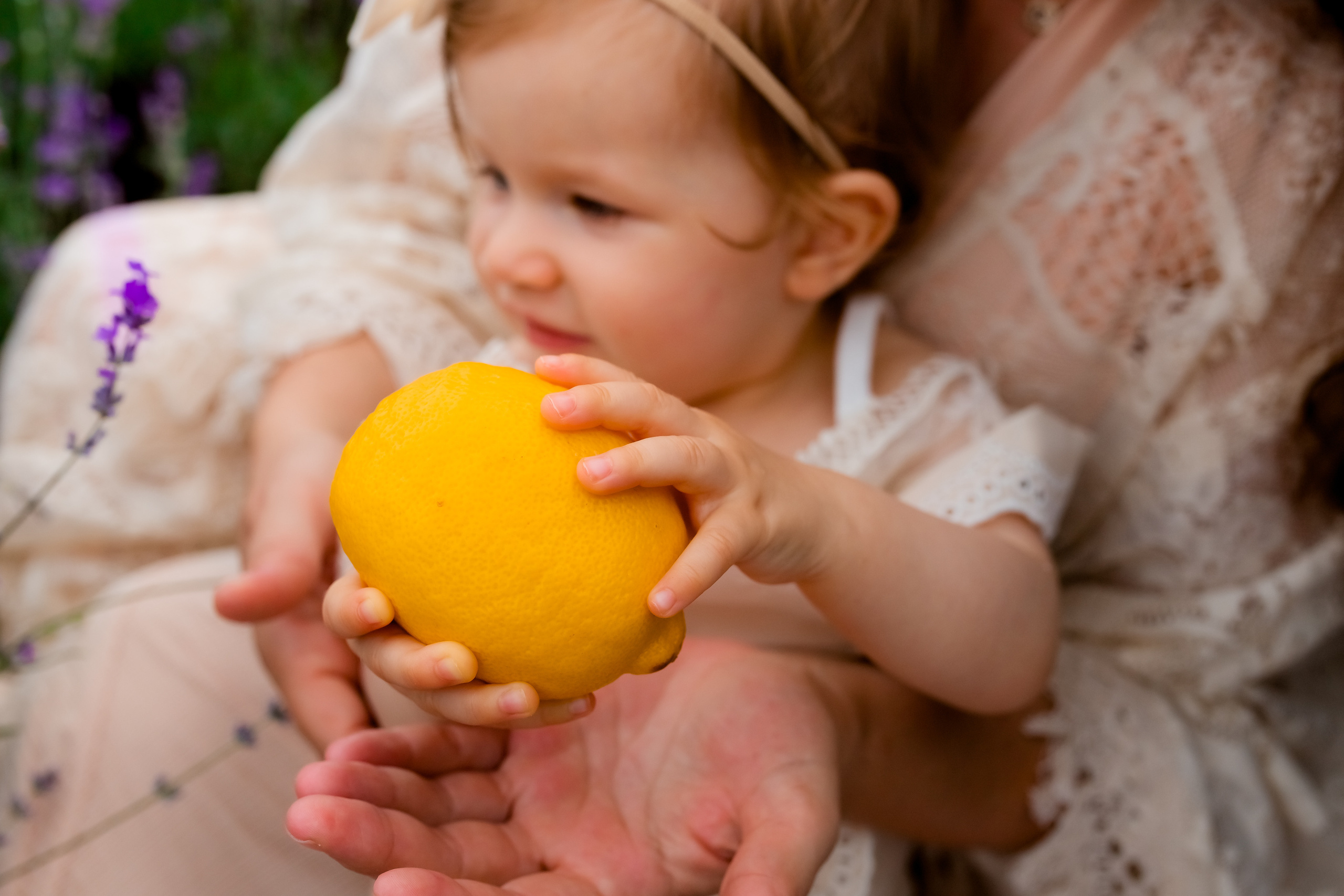 Фоторазходка Лавандула. Фотограф Ирина Йотова
