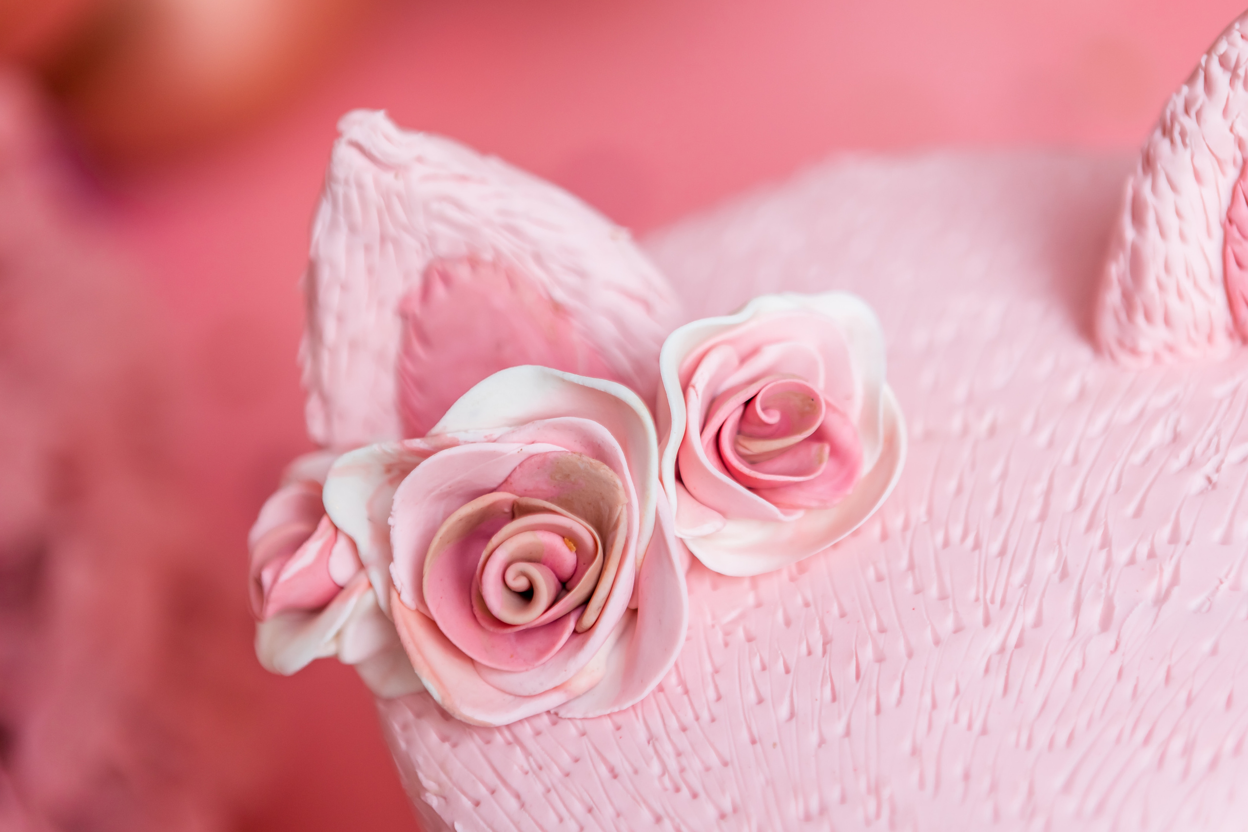 6 месеца. Фотограф Ирина Йотова