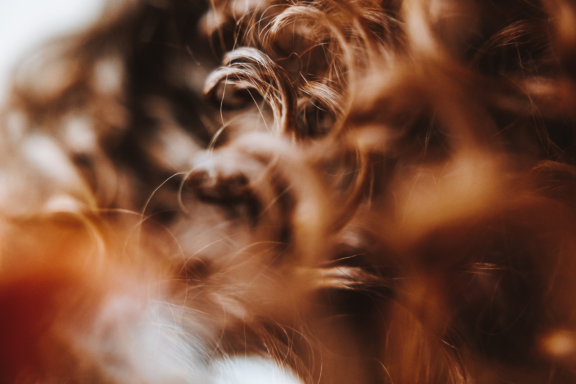 Честит Рожден Ден. Фотограф Ирина Йотова